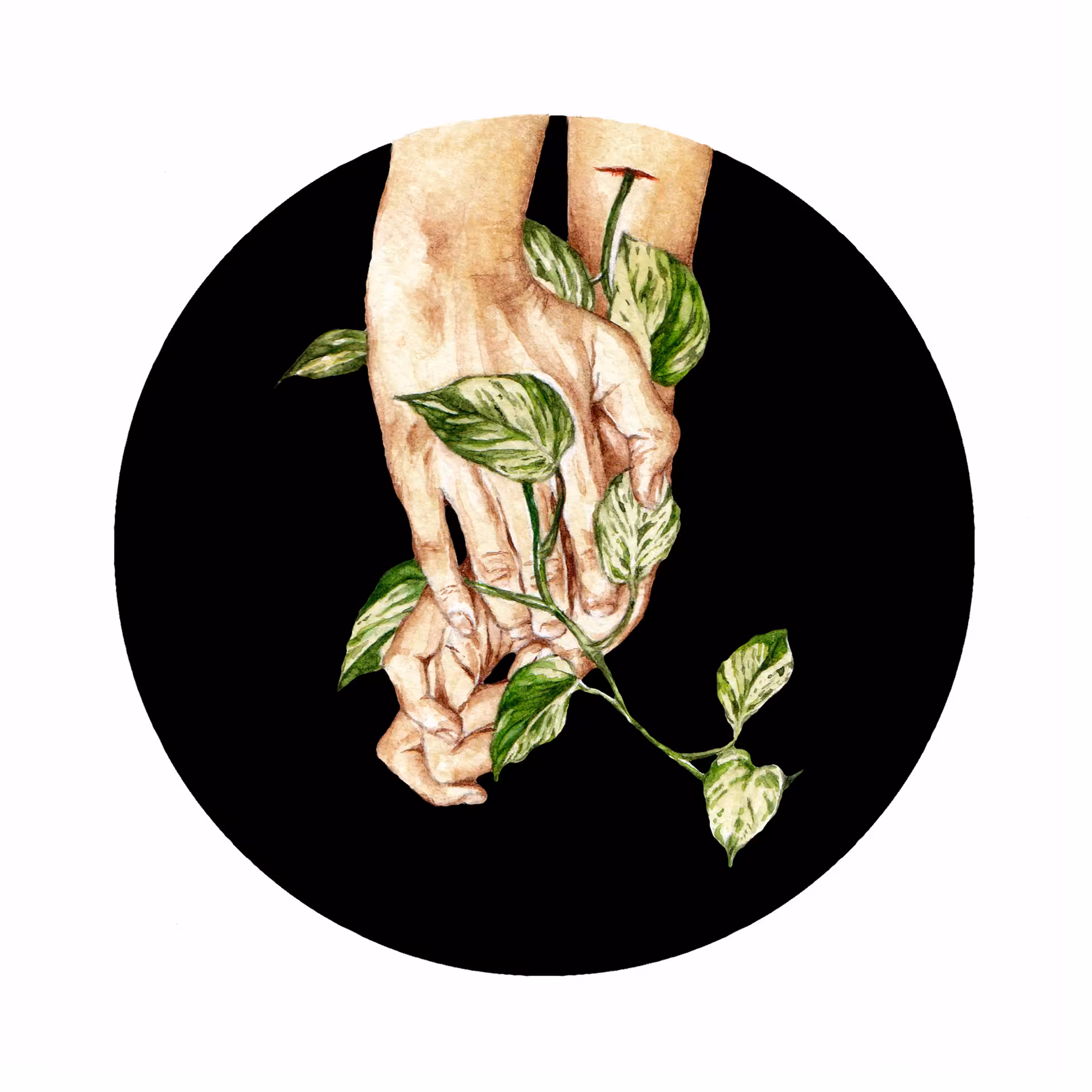 Let Me Drop to Where I Won't Be Found (A Tribute to Julian Barnes)