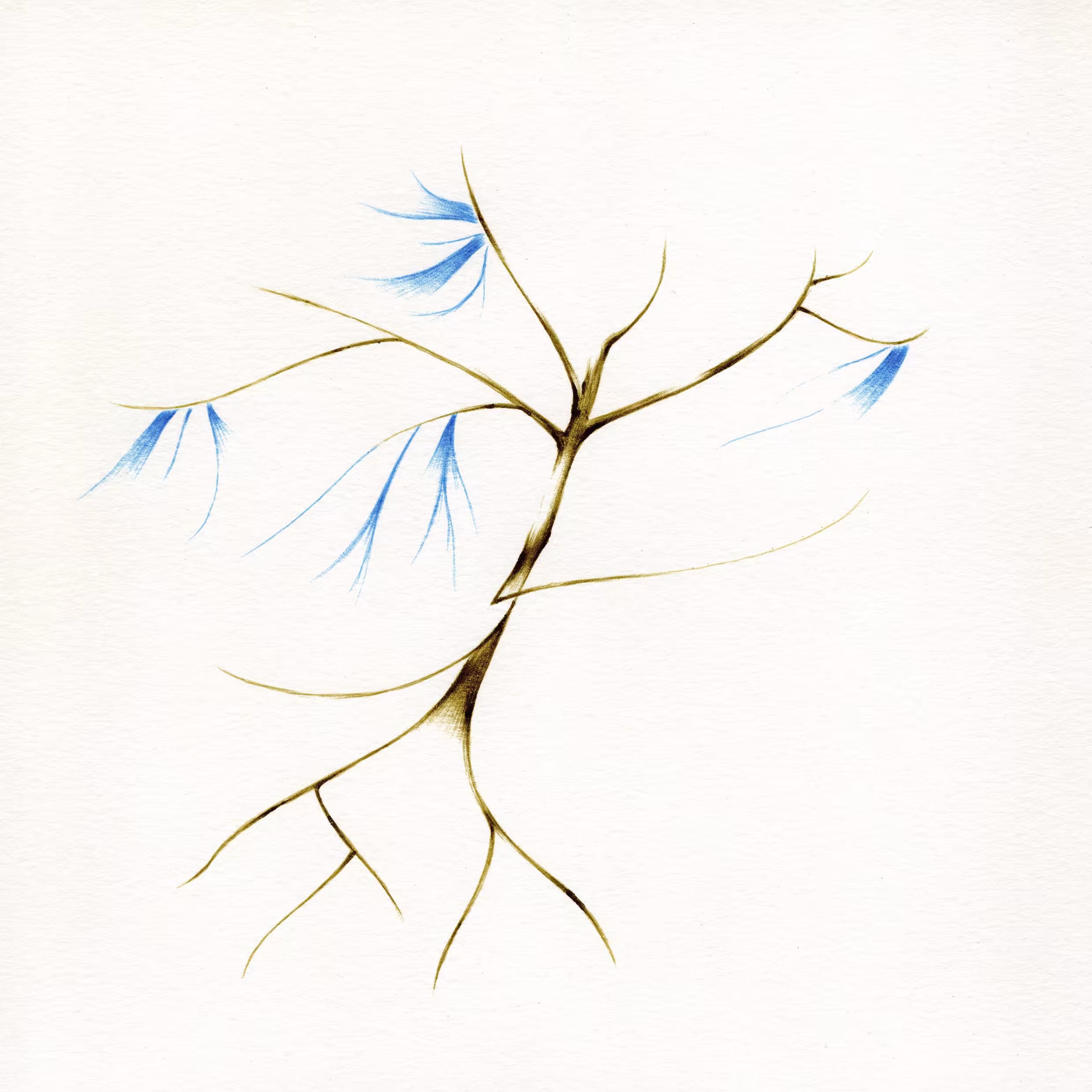 imaginary trees: imaginary tree #4
