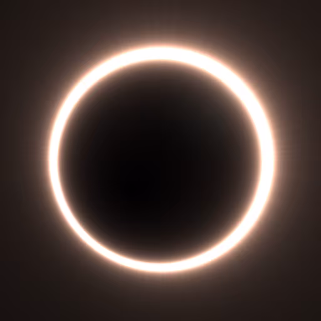 Totality #91