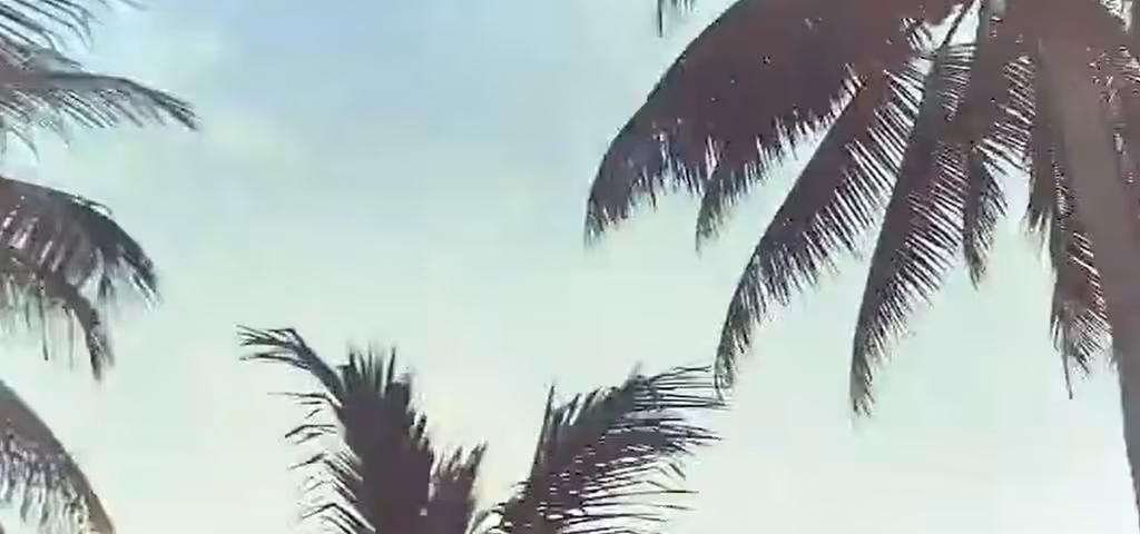 Where the wind takes you
