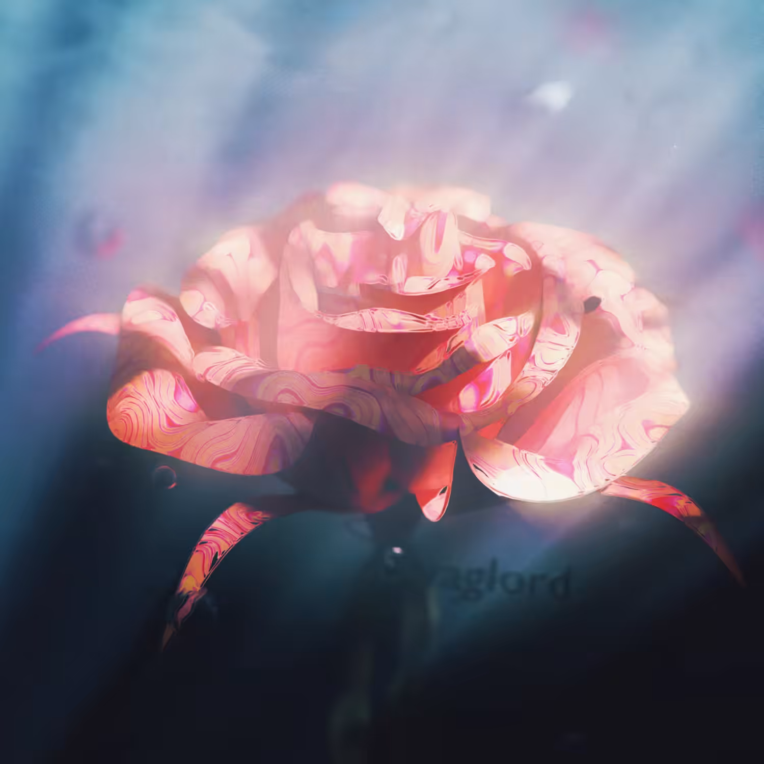 Underwater Rose