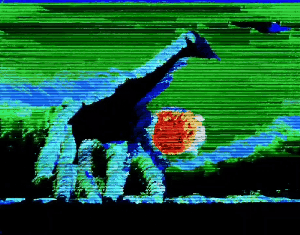Nature: Wandering Giraffe