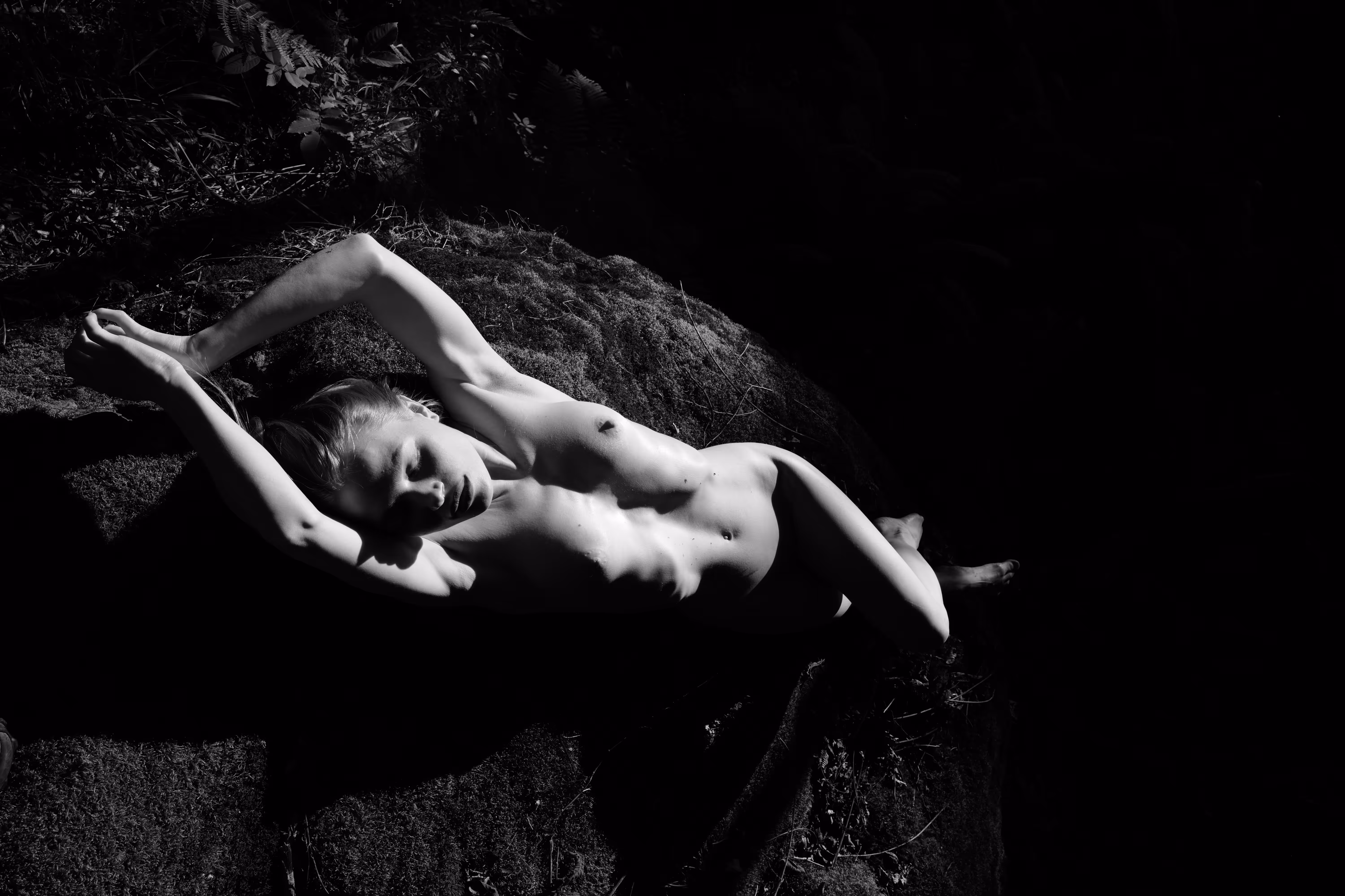 Under the Forest’s Skin