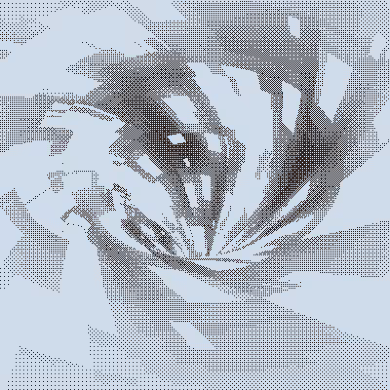 Down the Drain #42
