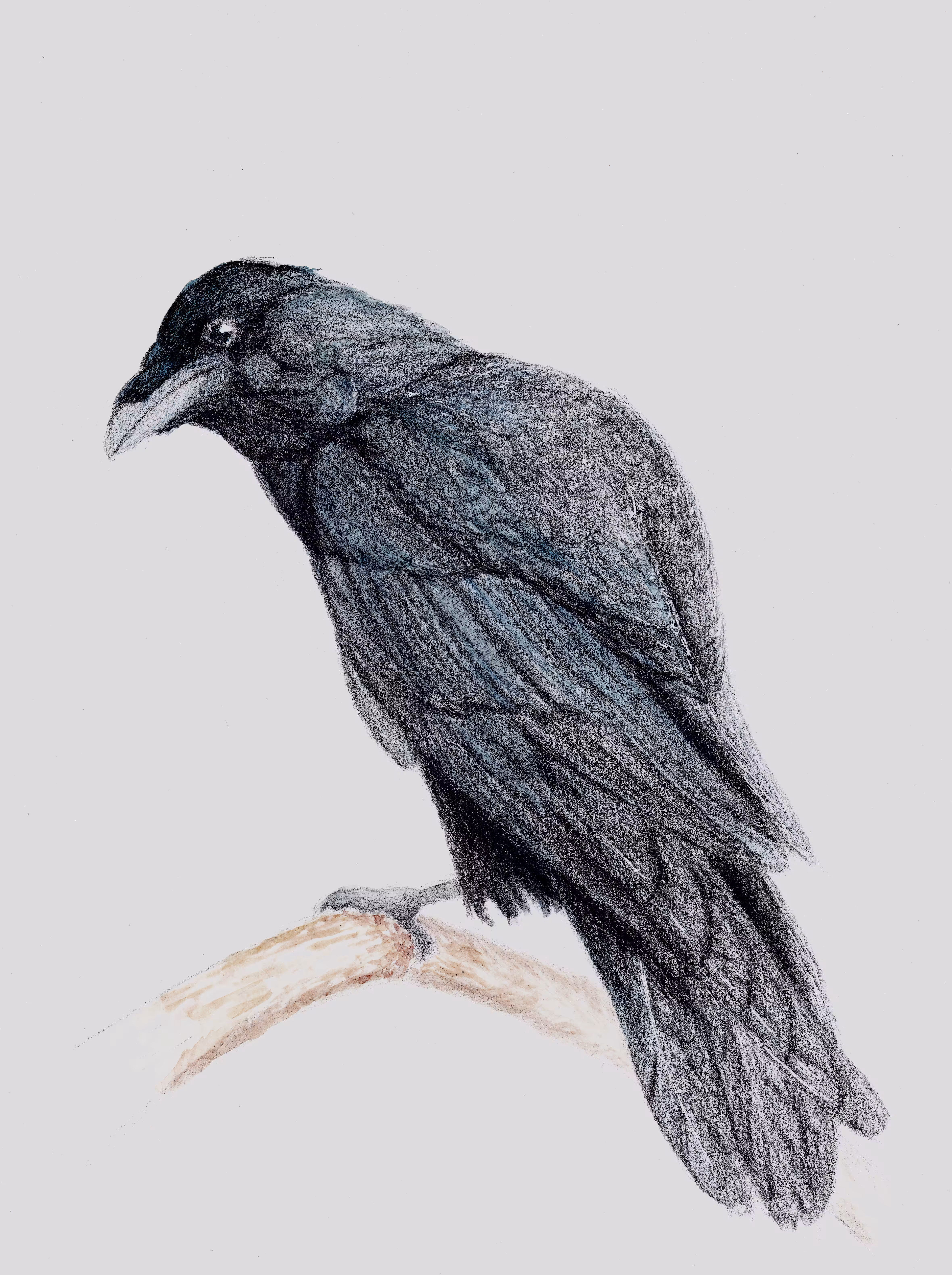 Edgar 