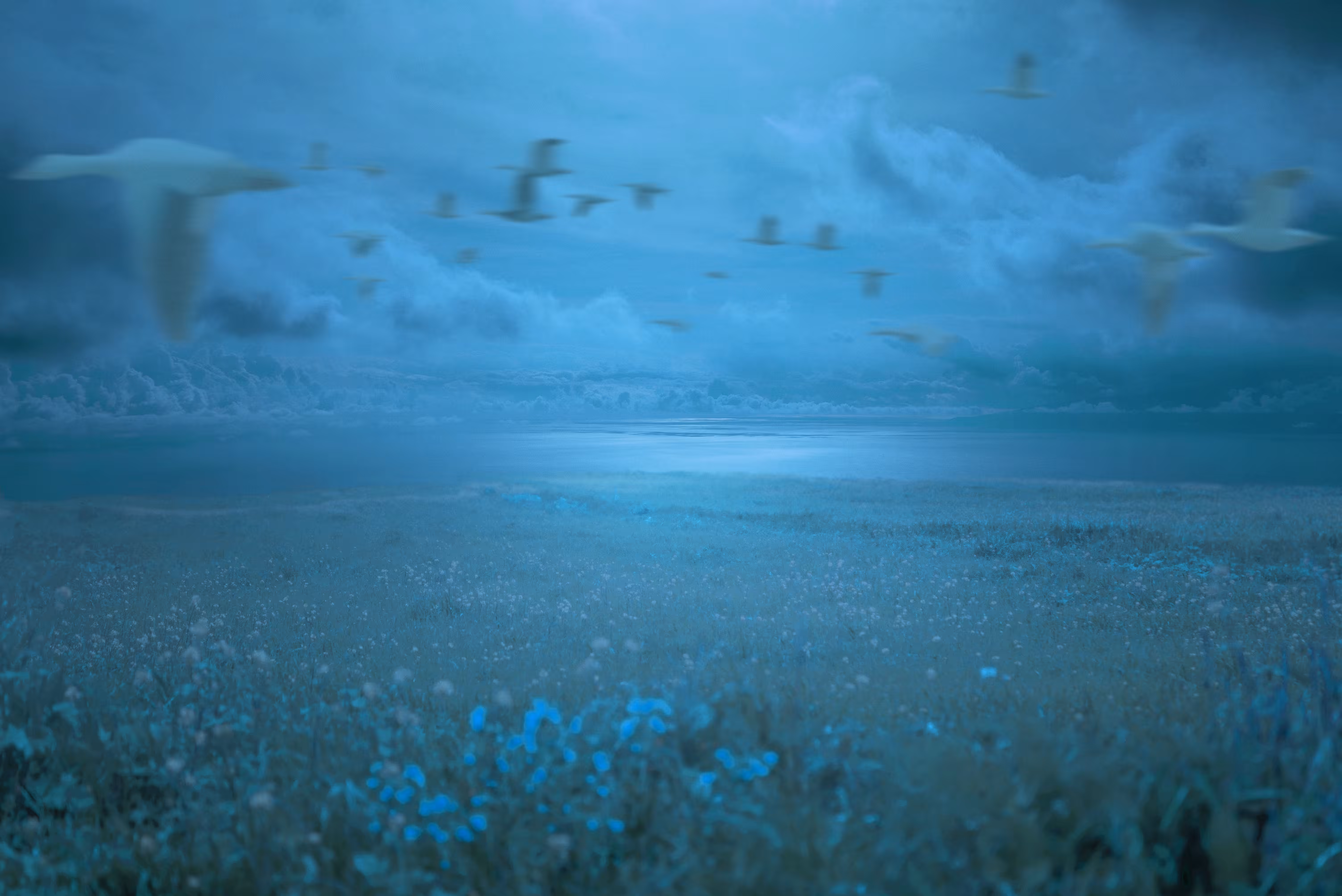 Moonlight Walk