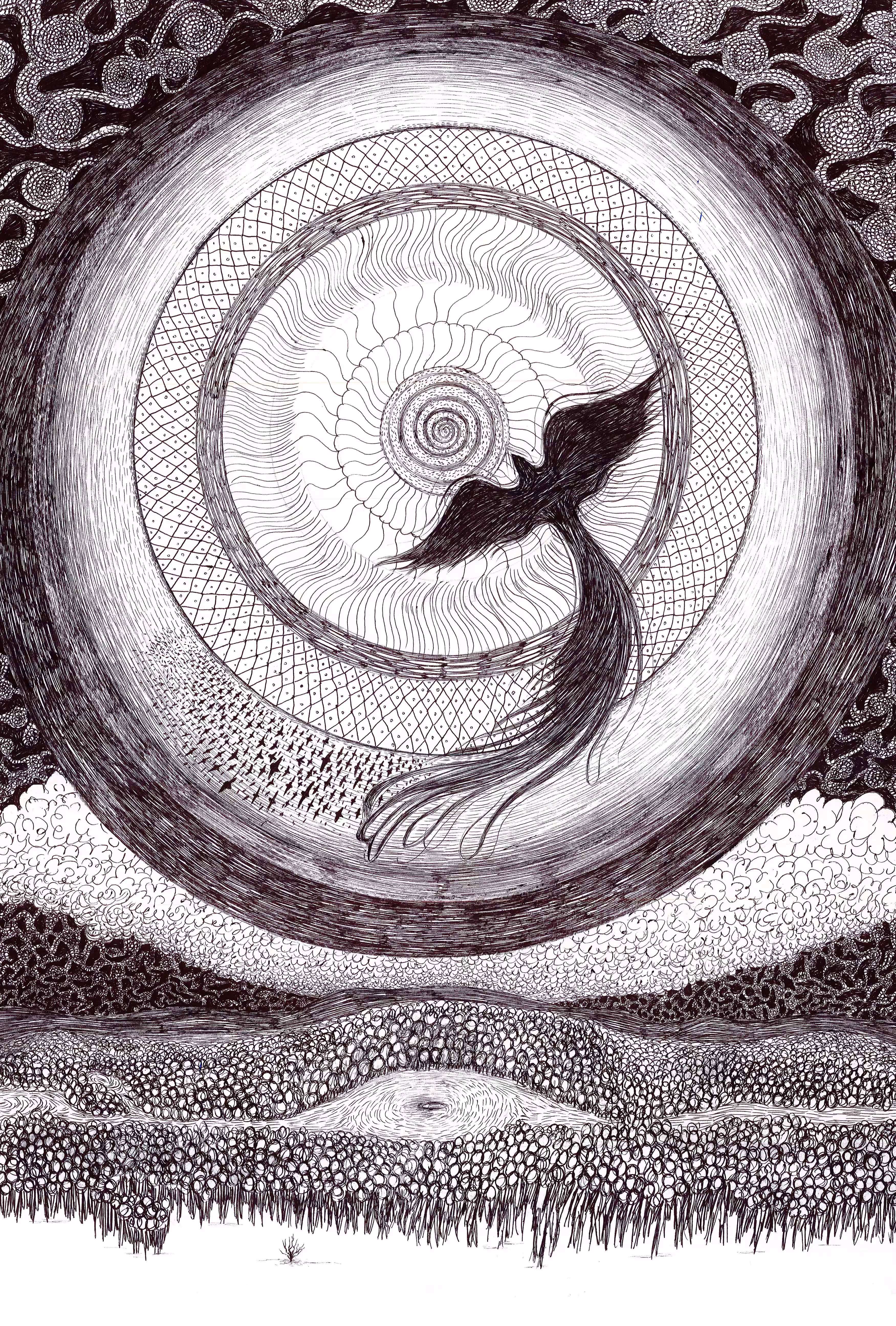 white and black: The Majesty of Flight 