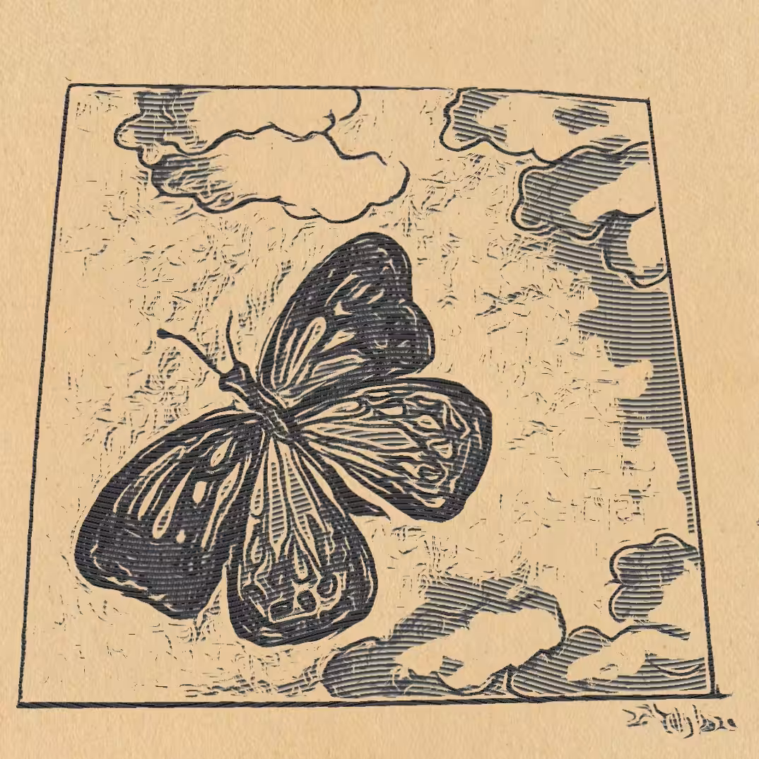 Butterfly
