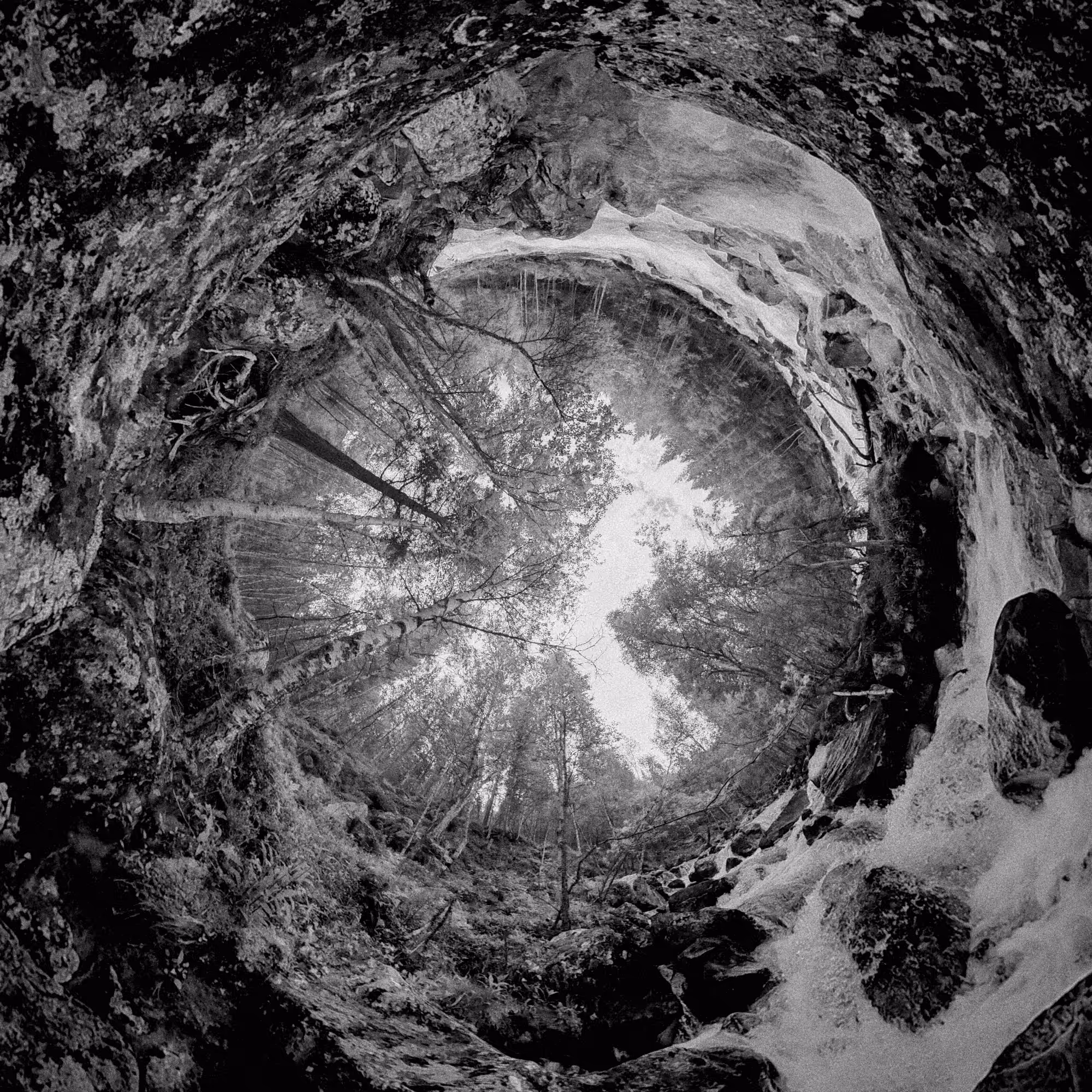 Forest series Black&White: This is where the salmon are born 01