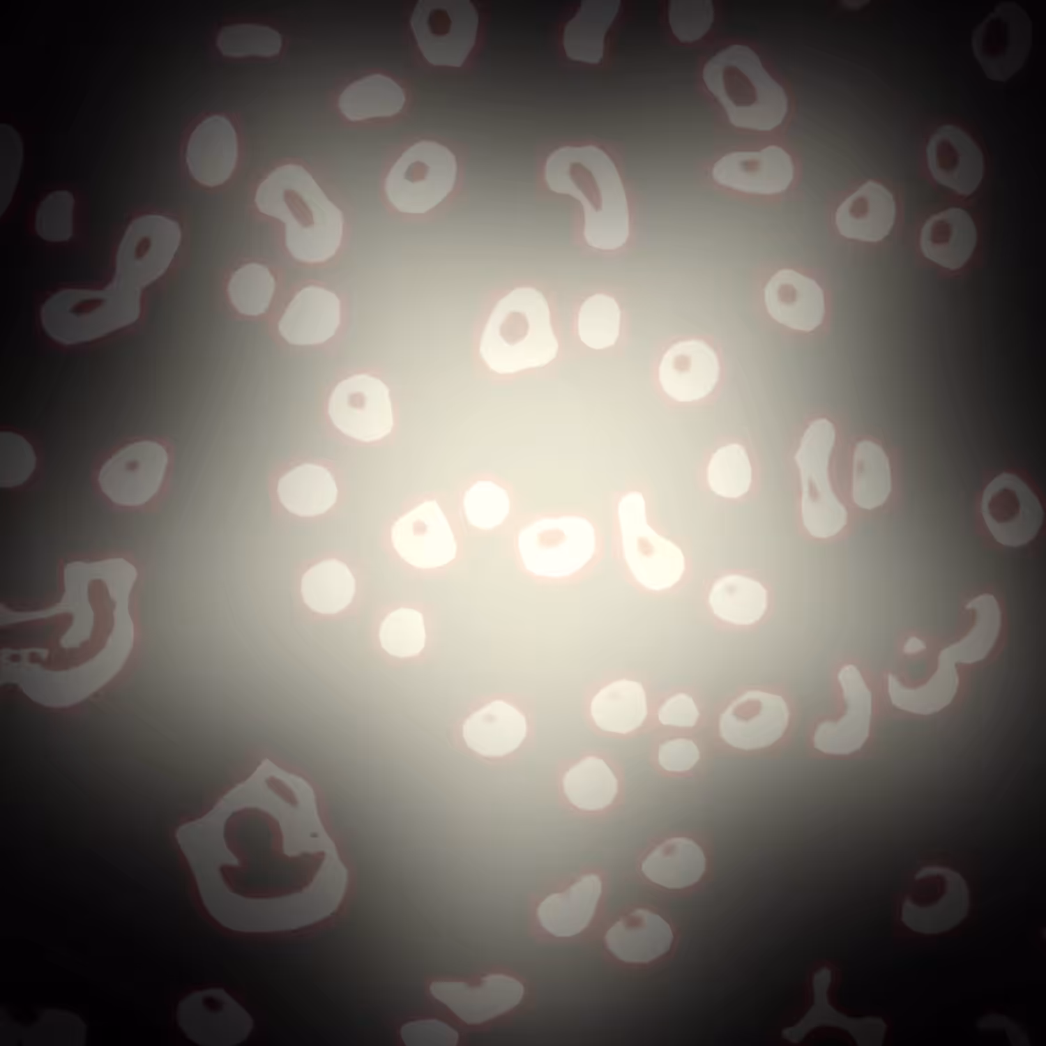 Epilettic Beginning