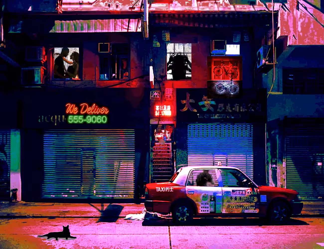 Alley Cat Night Time Exploring