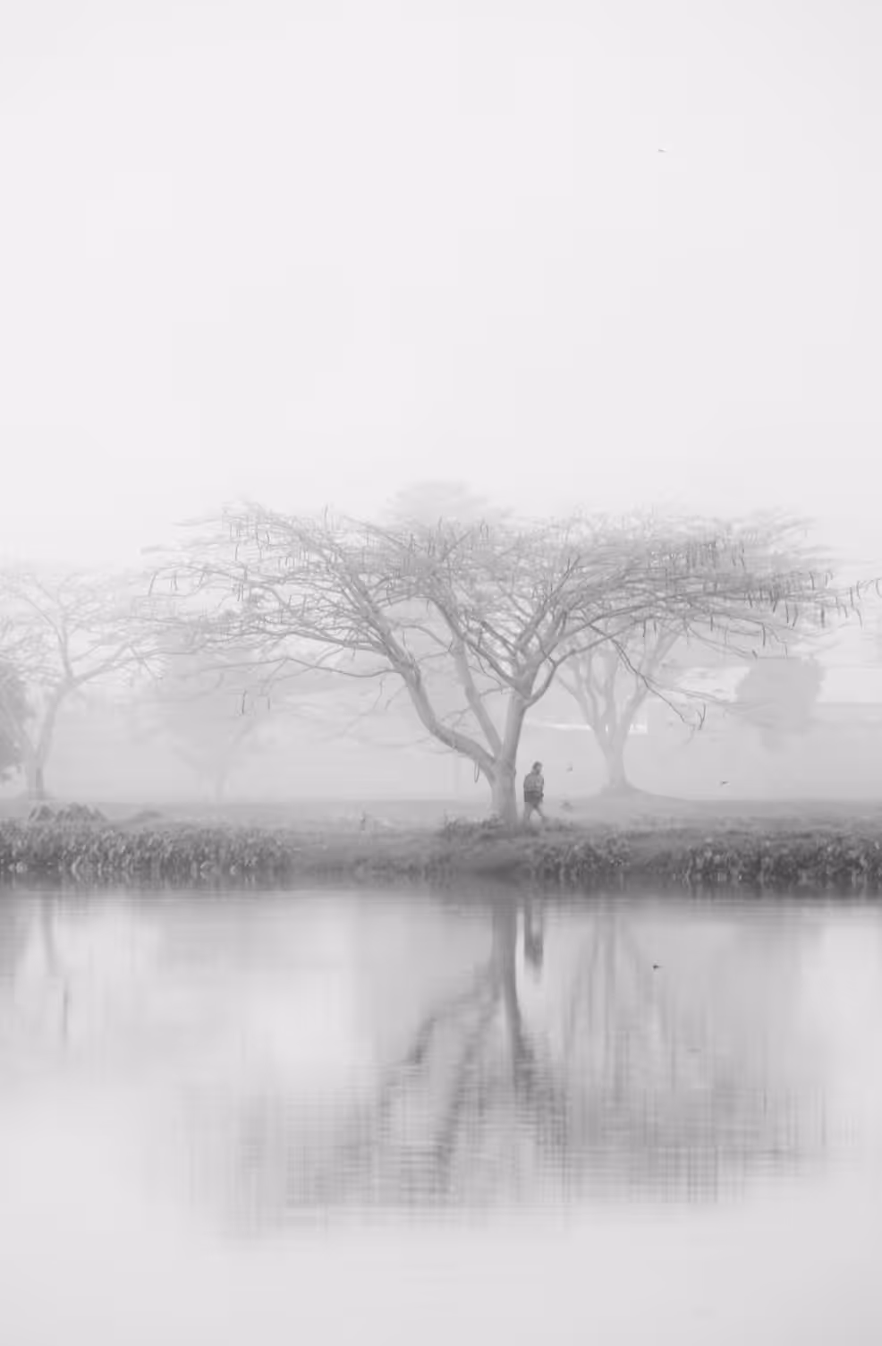 Hazy Dream