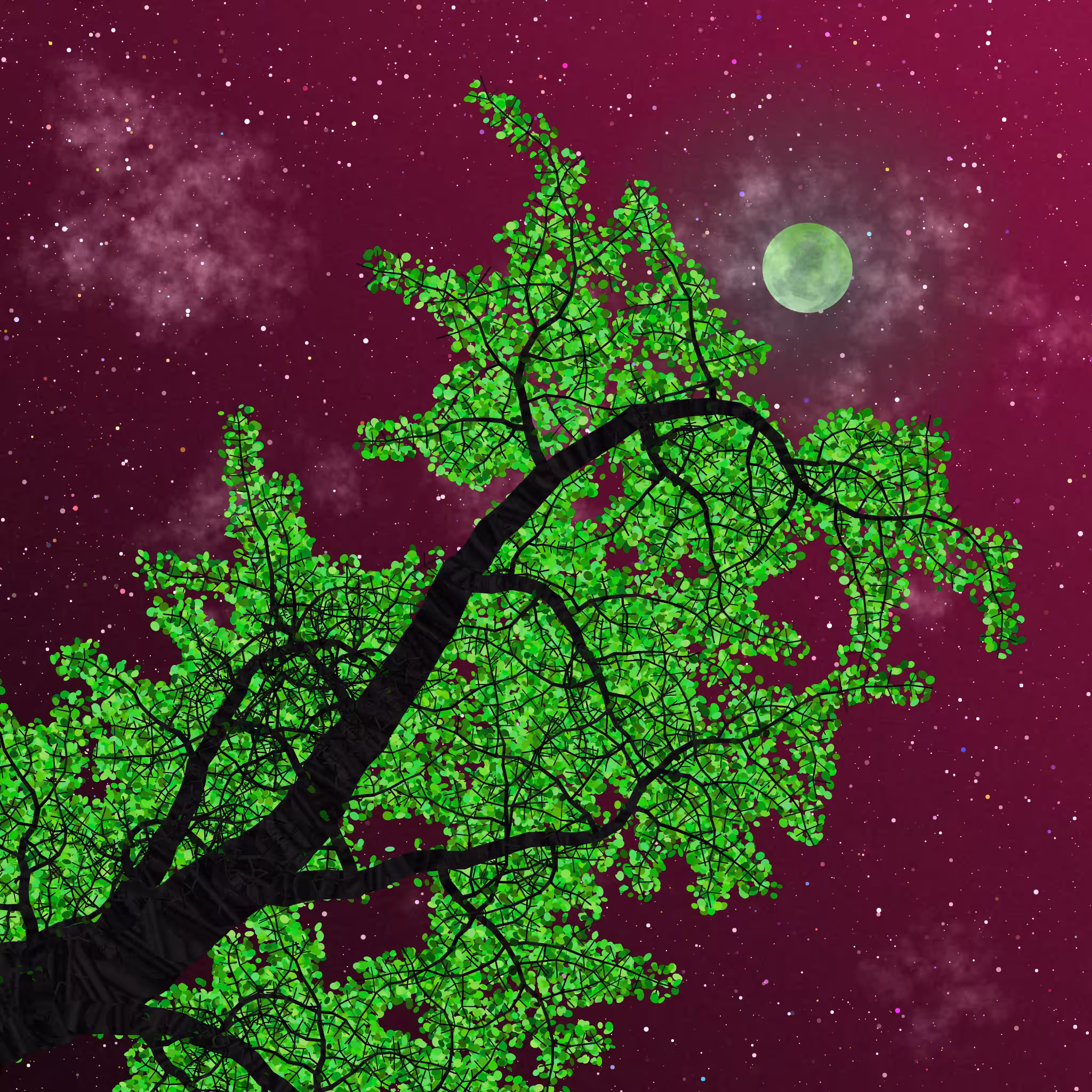 Tree Skyness #154