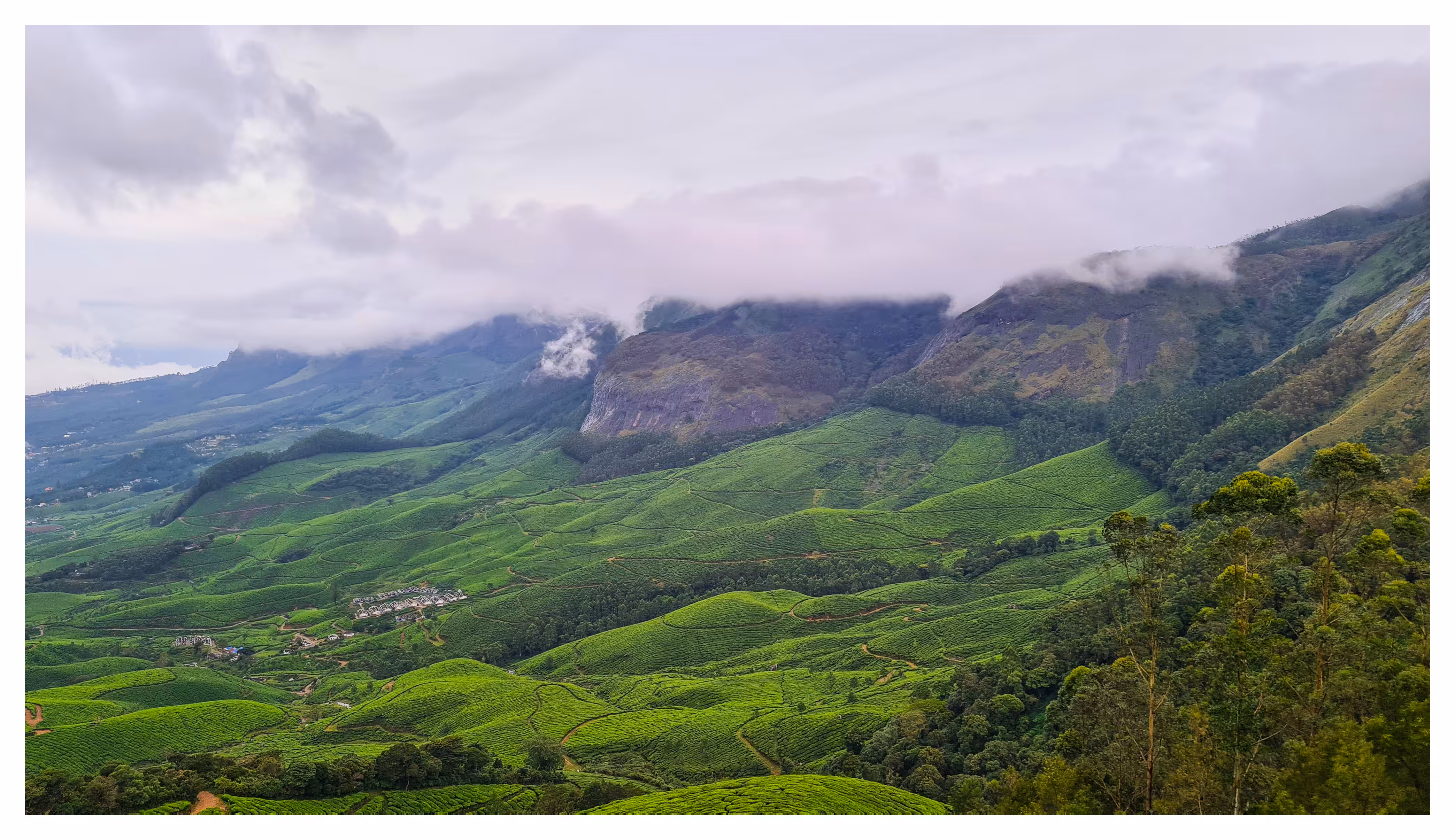 Enchanting Kerala I
