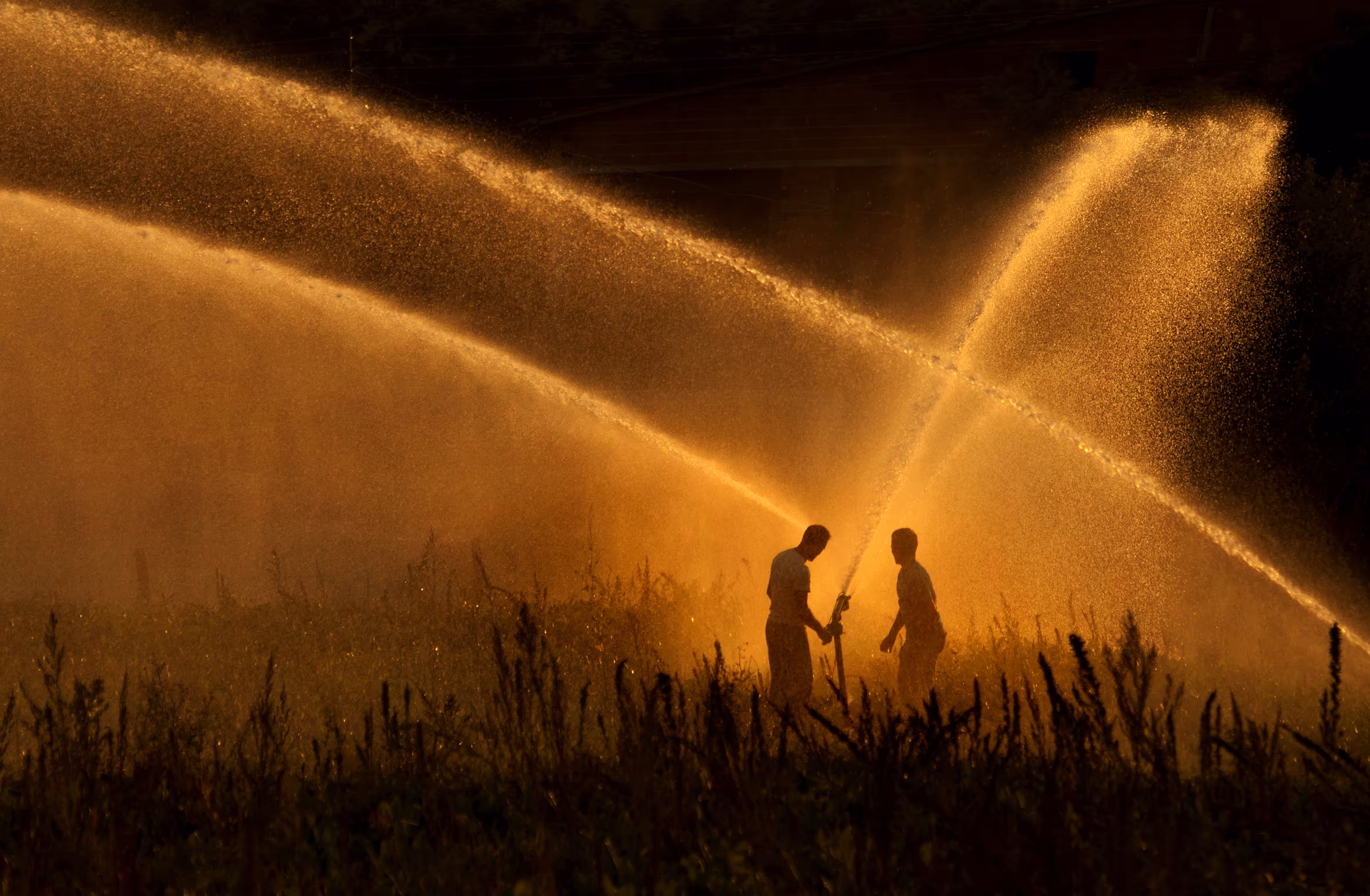 Water and life