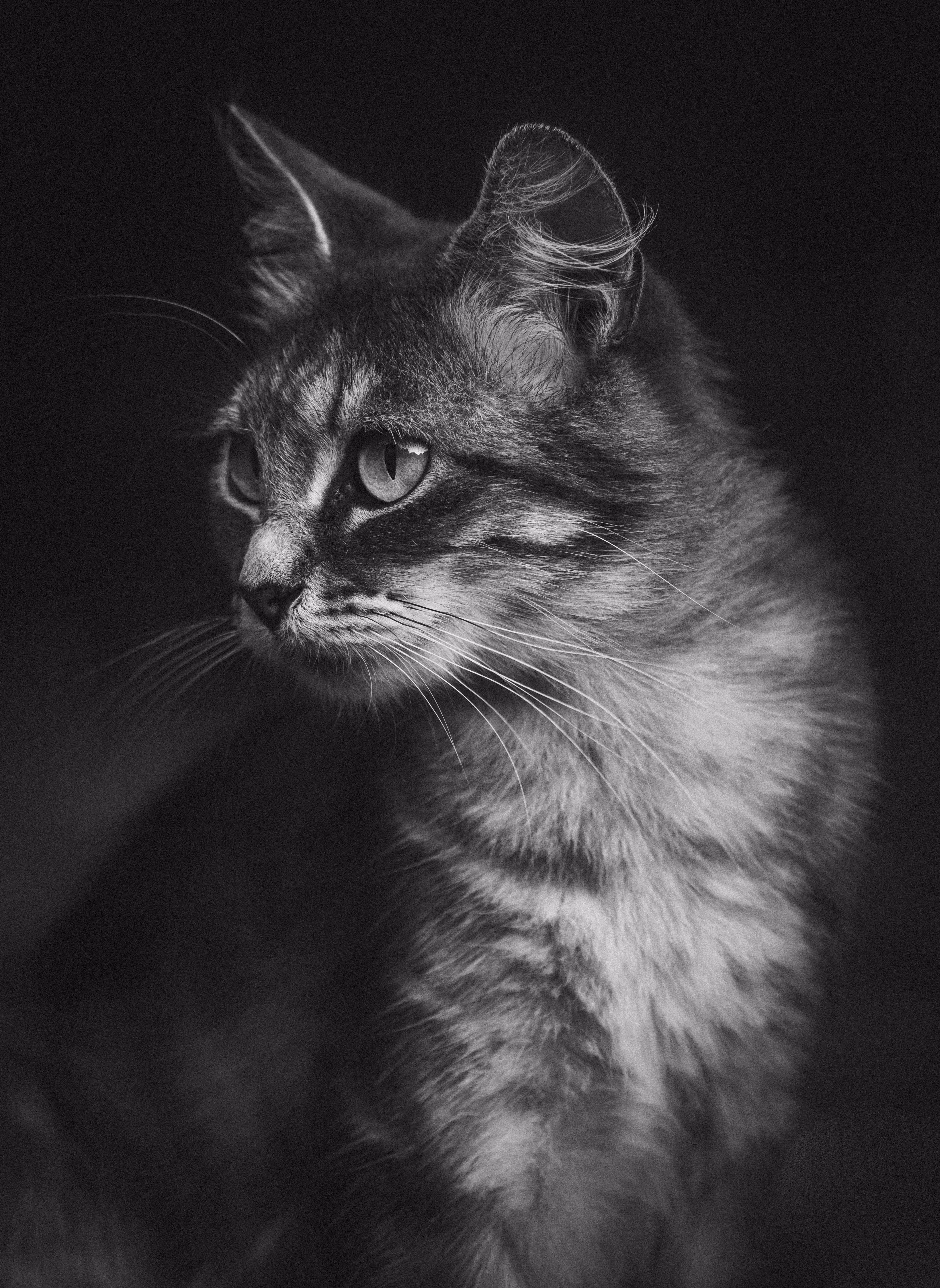 In Motion