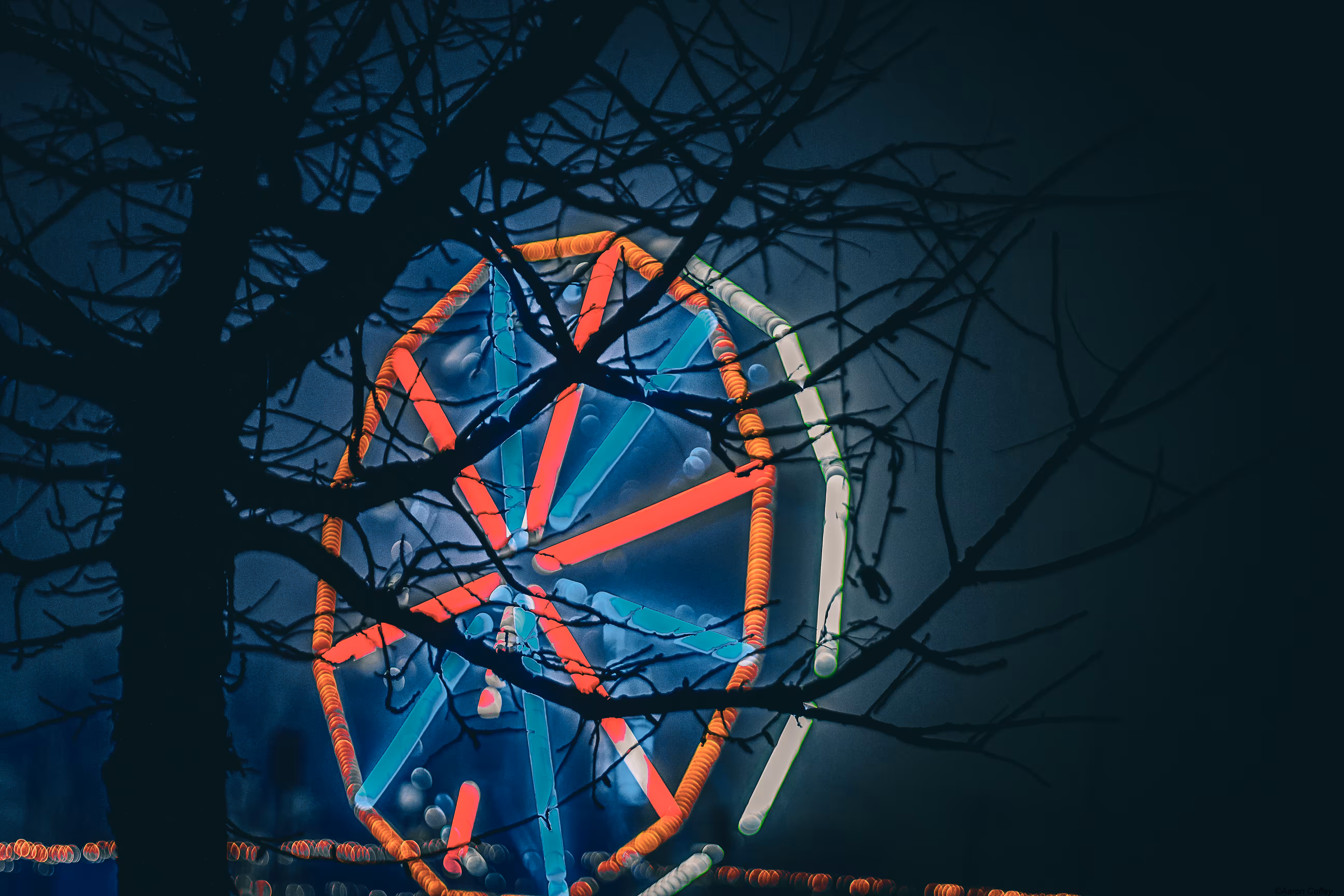 Holiday Nights