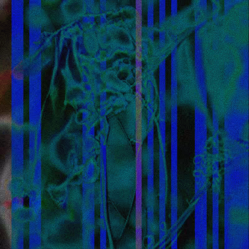CLDCSMC #173
