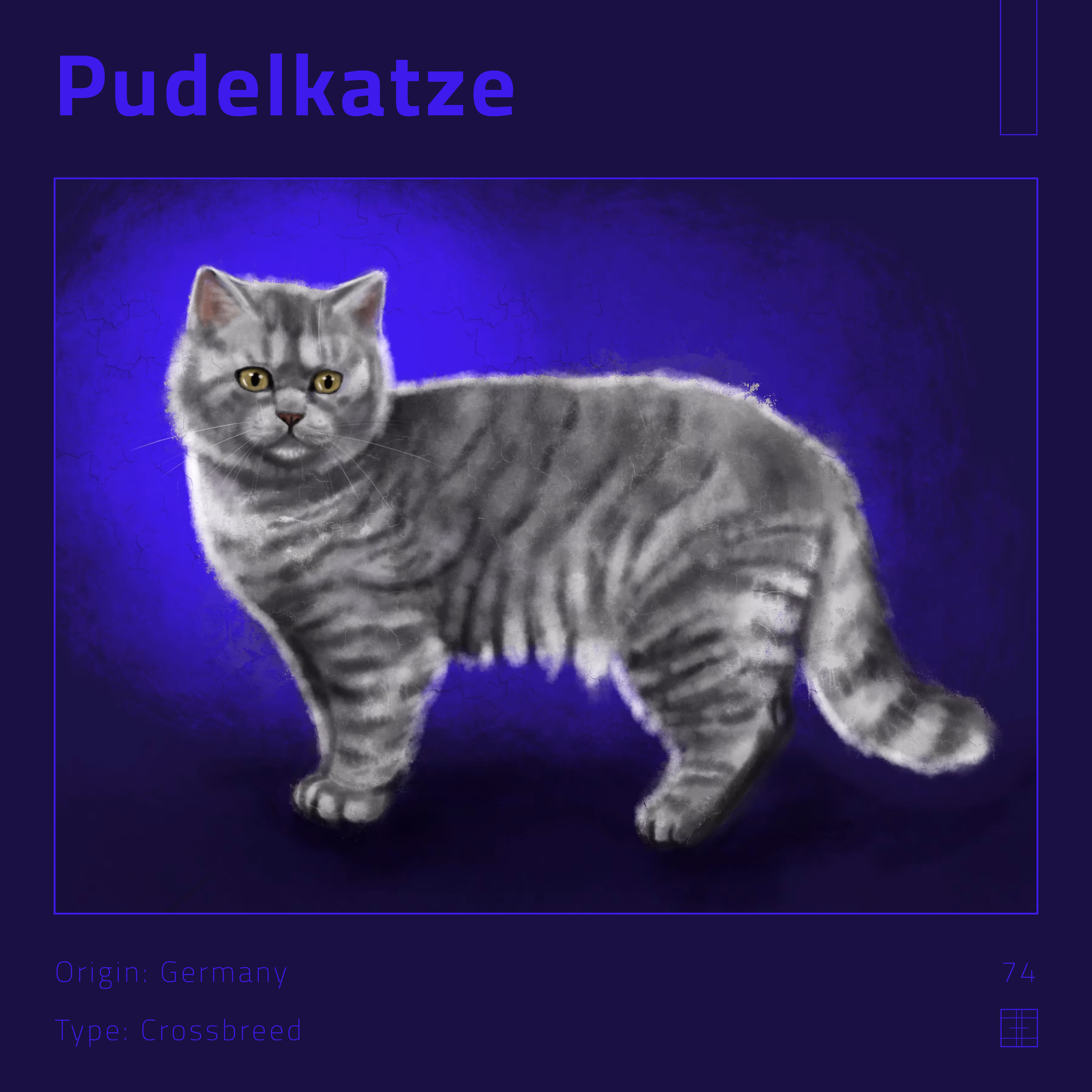 74 – Pudelkatze