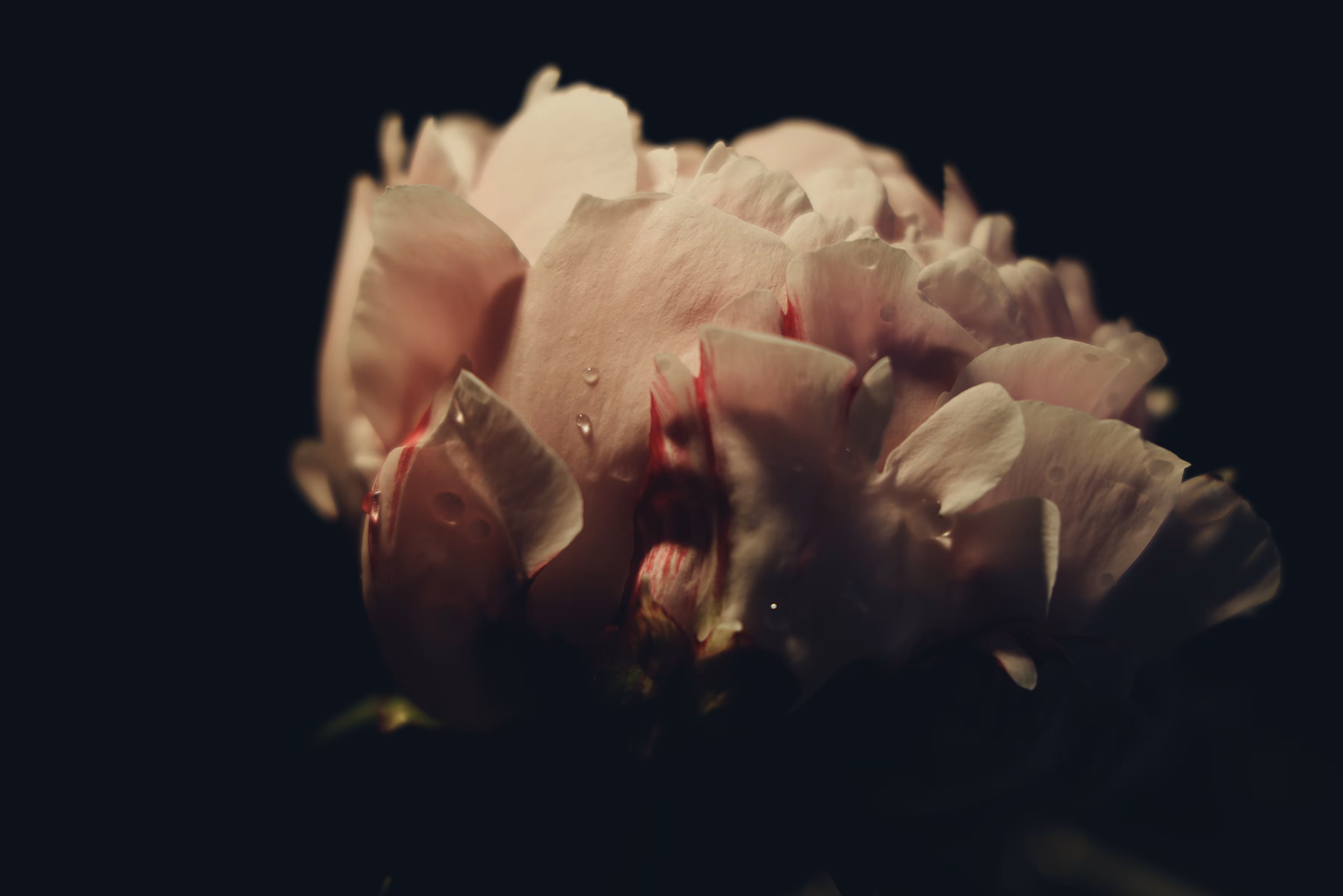 _teardrops