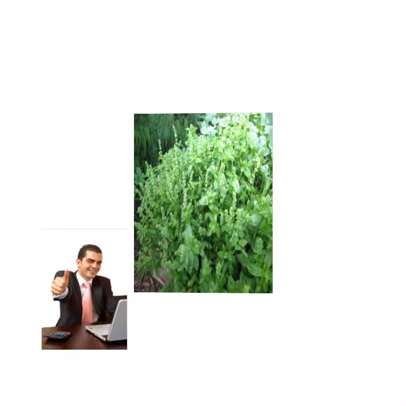ART BASIL 2022 #29
