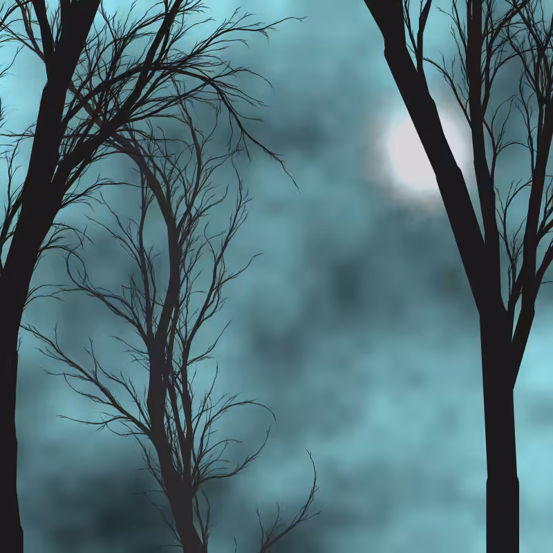 Through the night #20