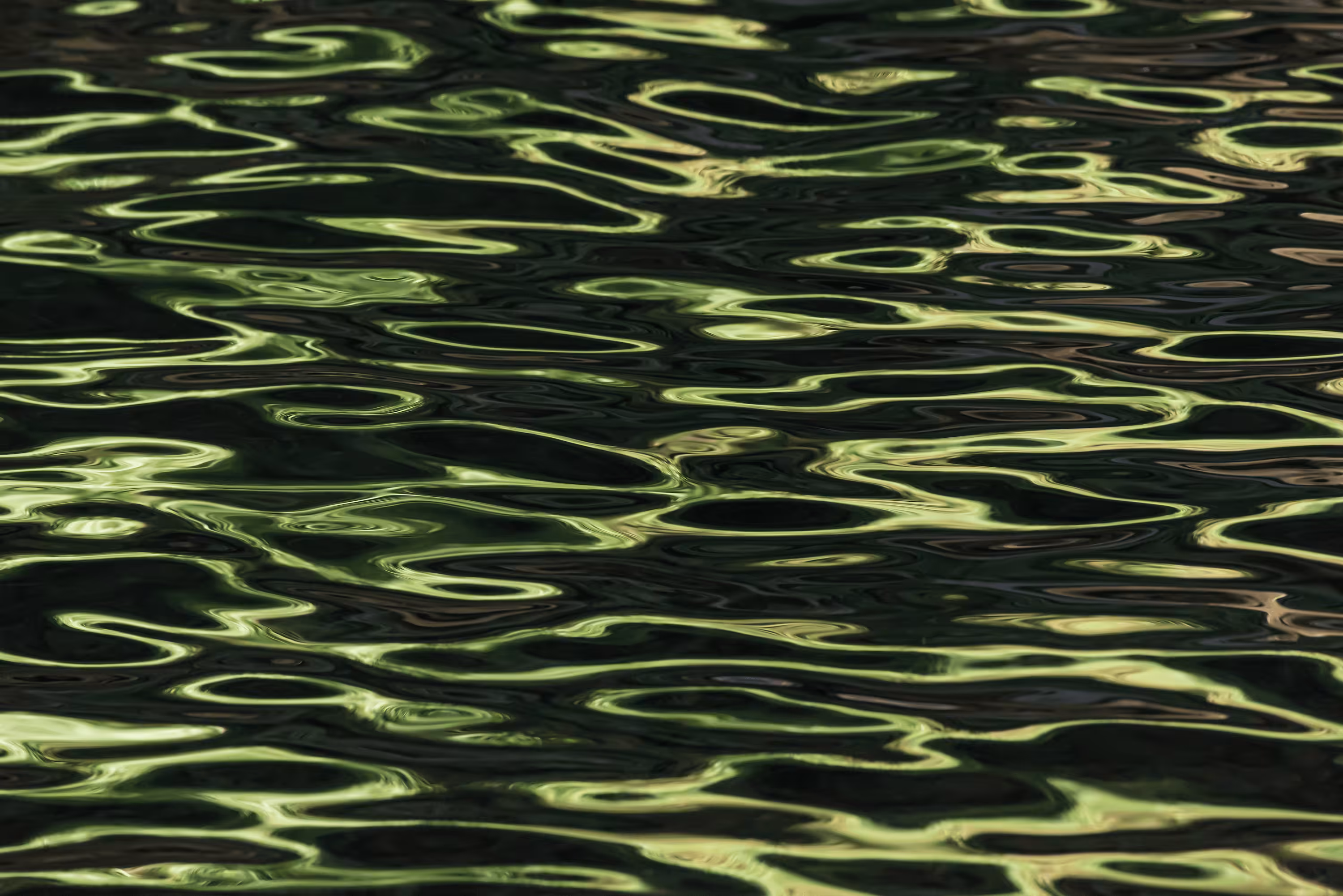 Ebb and Flow #85