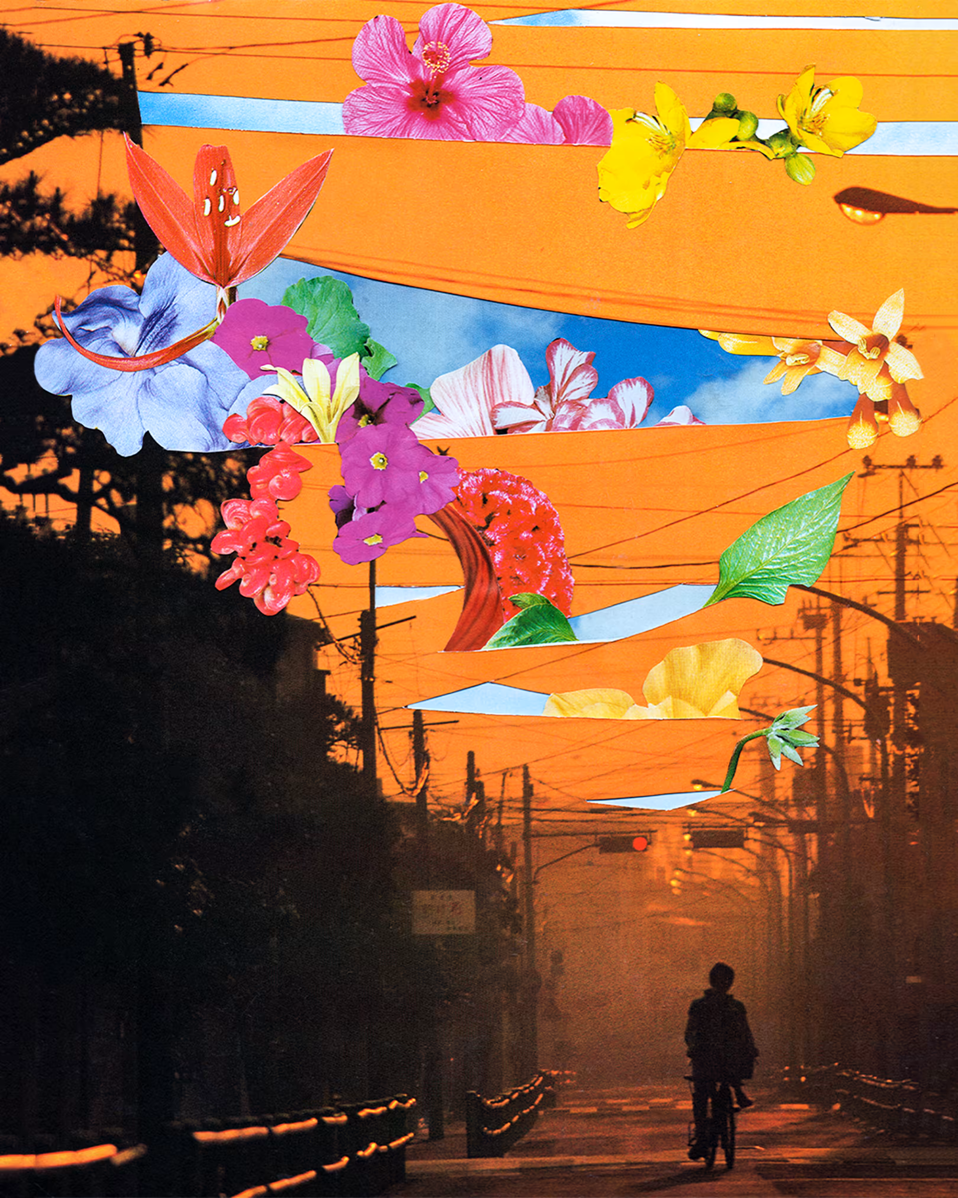 Silience