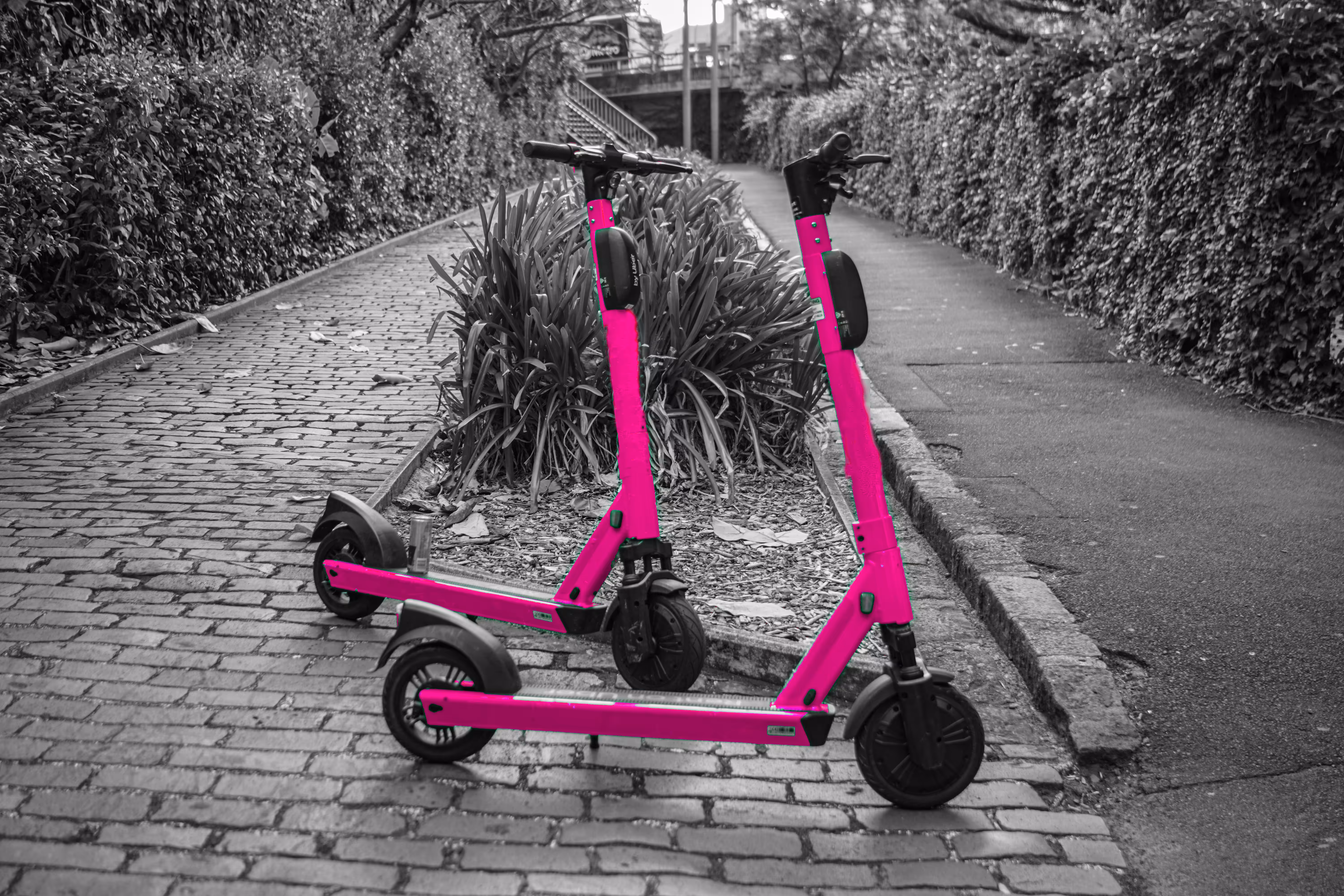 Scooter lover 2