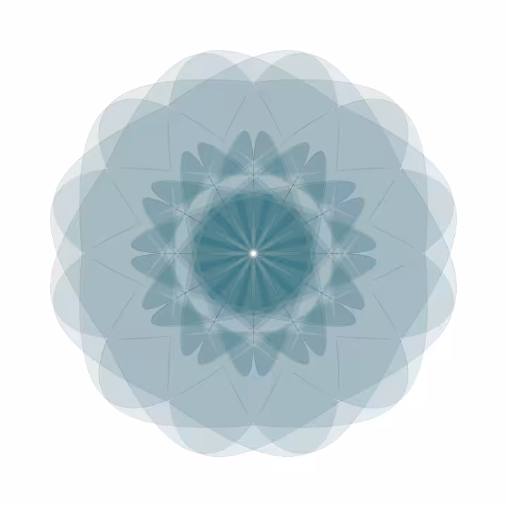 Orbits 5