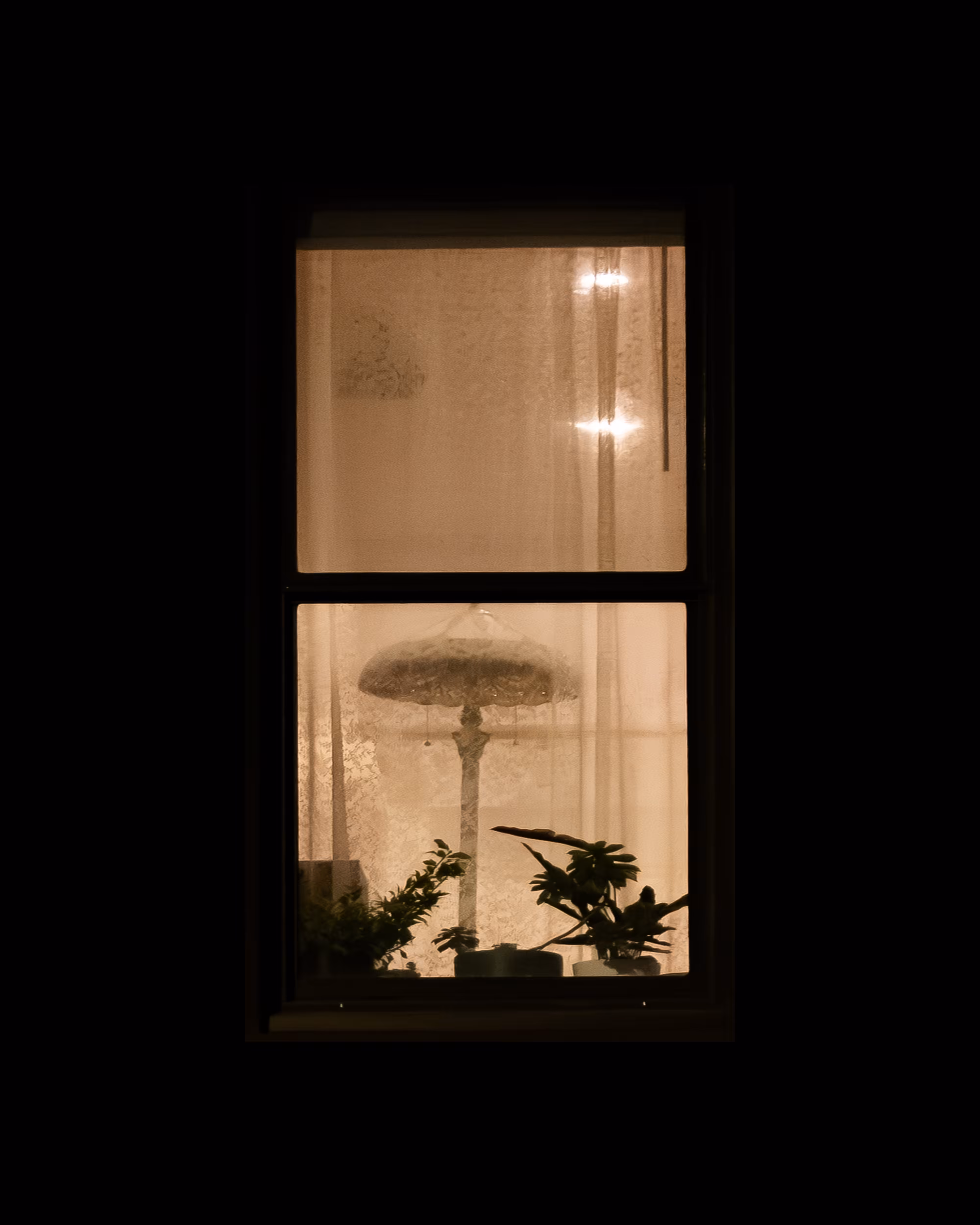 WINDOW 988
