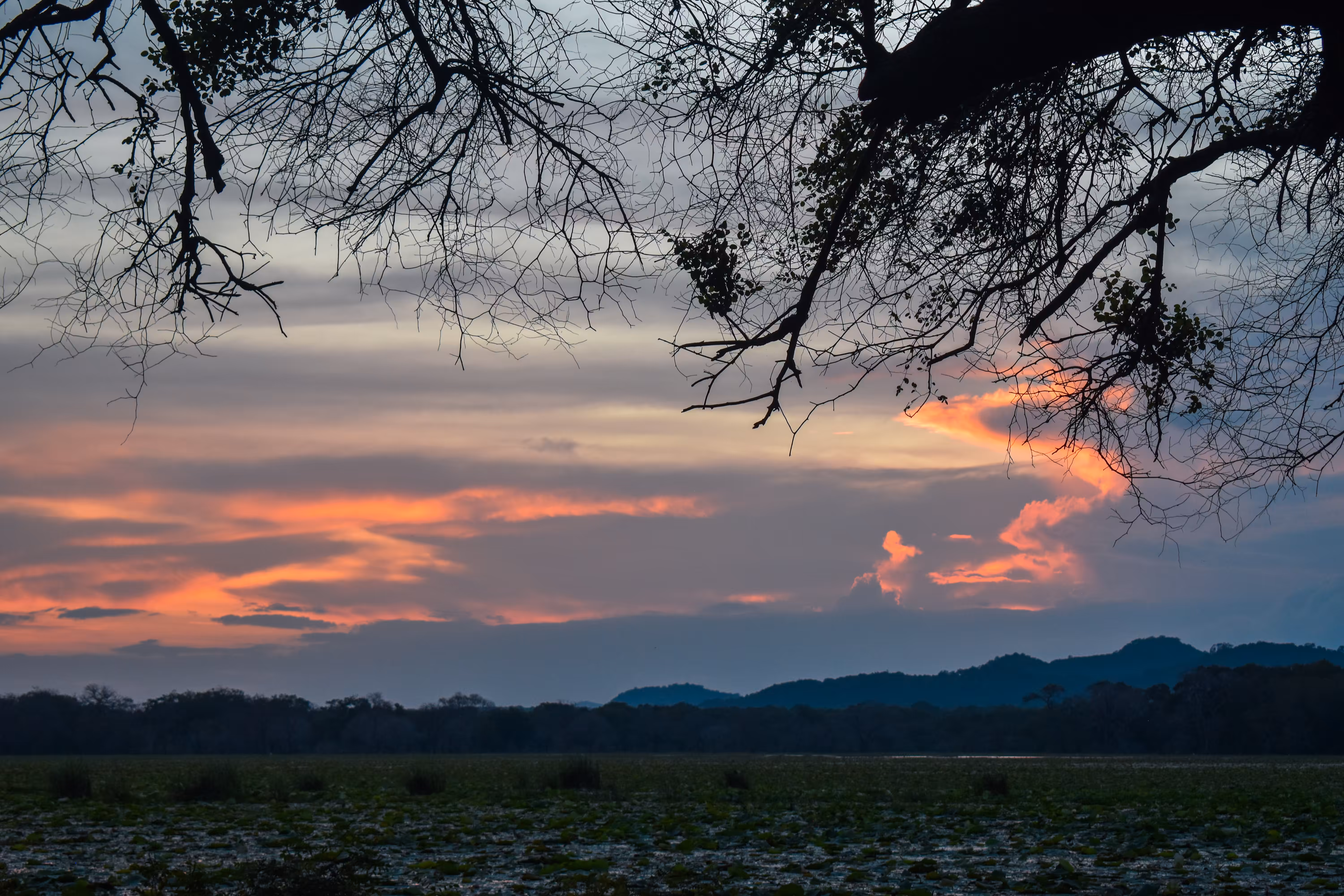 Sunset Thoughts