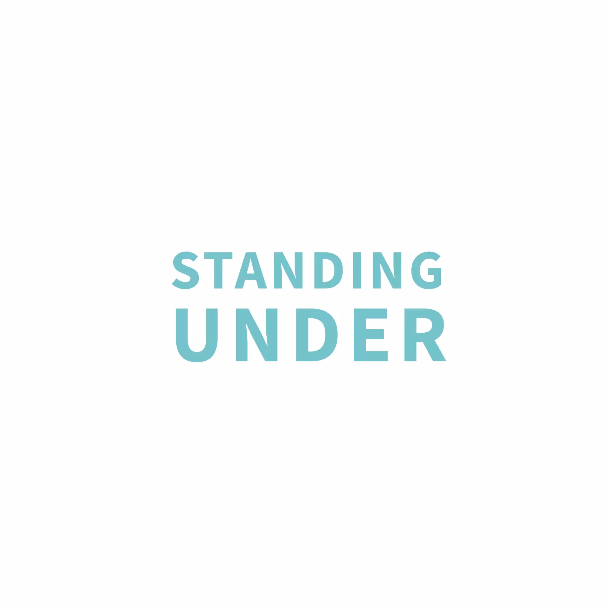 UNDERSTANDING