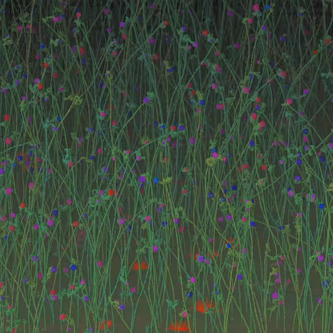 THE GARDEN OF DELIGHTS #4