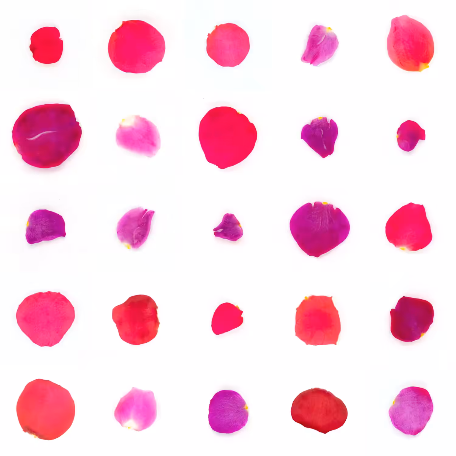 Infinite Petals 5x5#20076