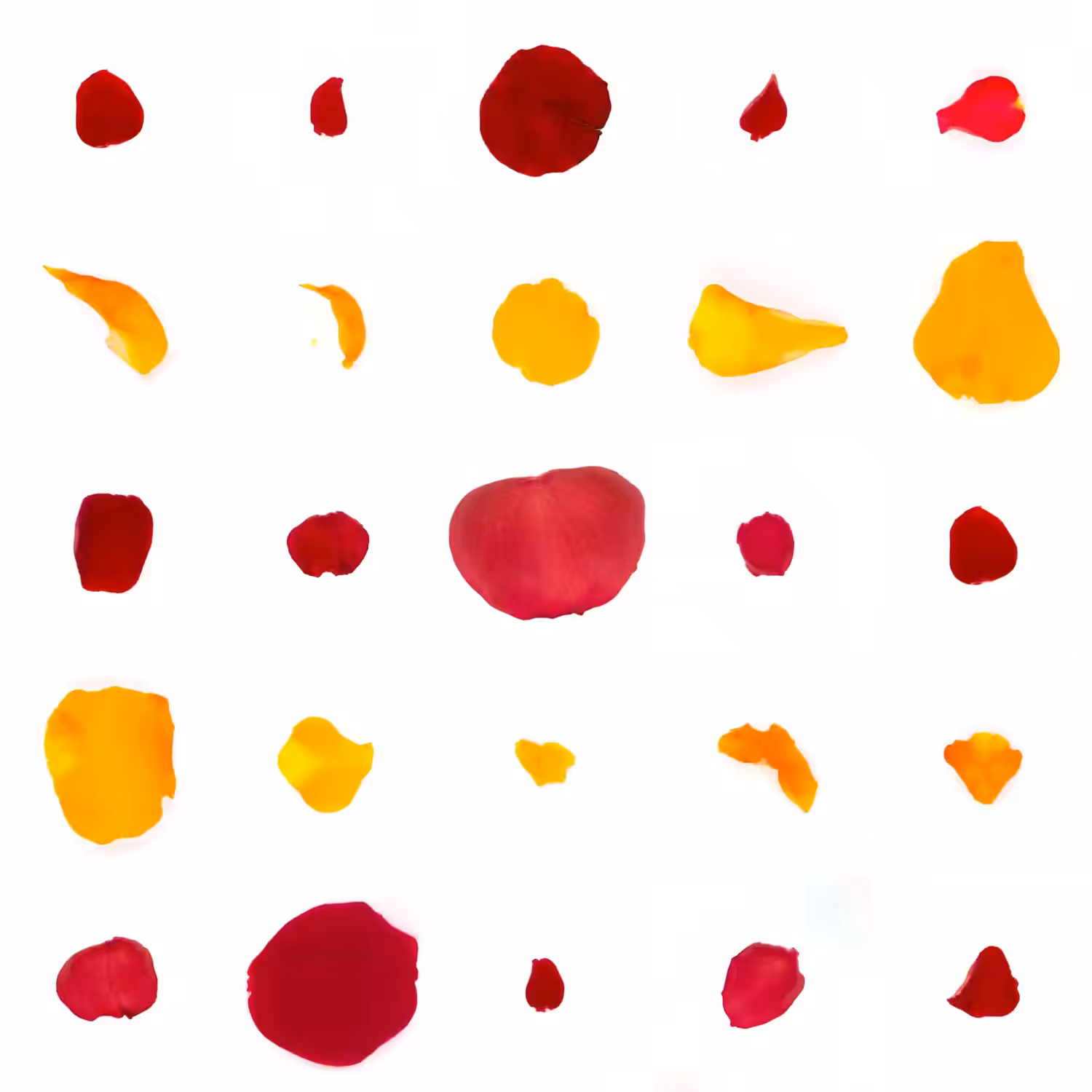 Infinite Petals 5x5#2843