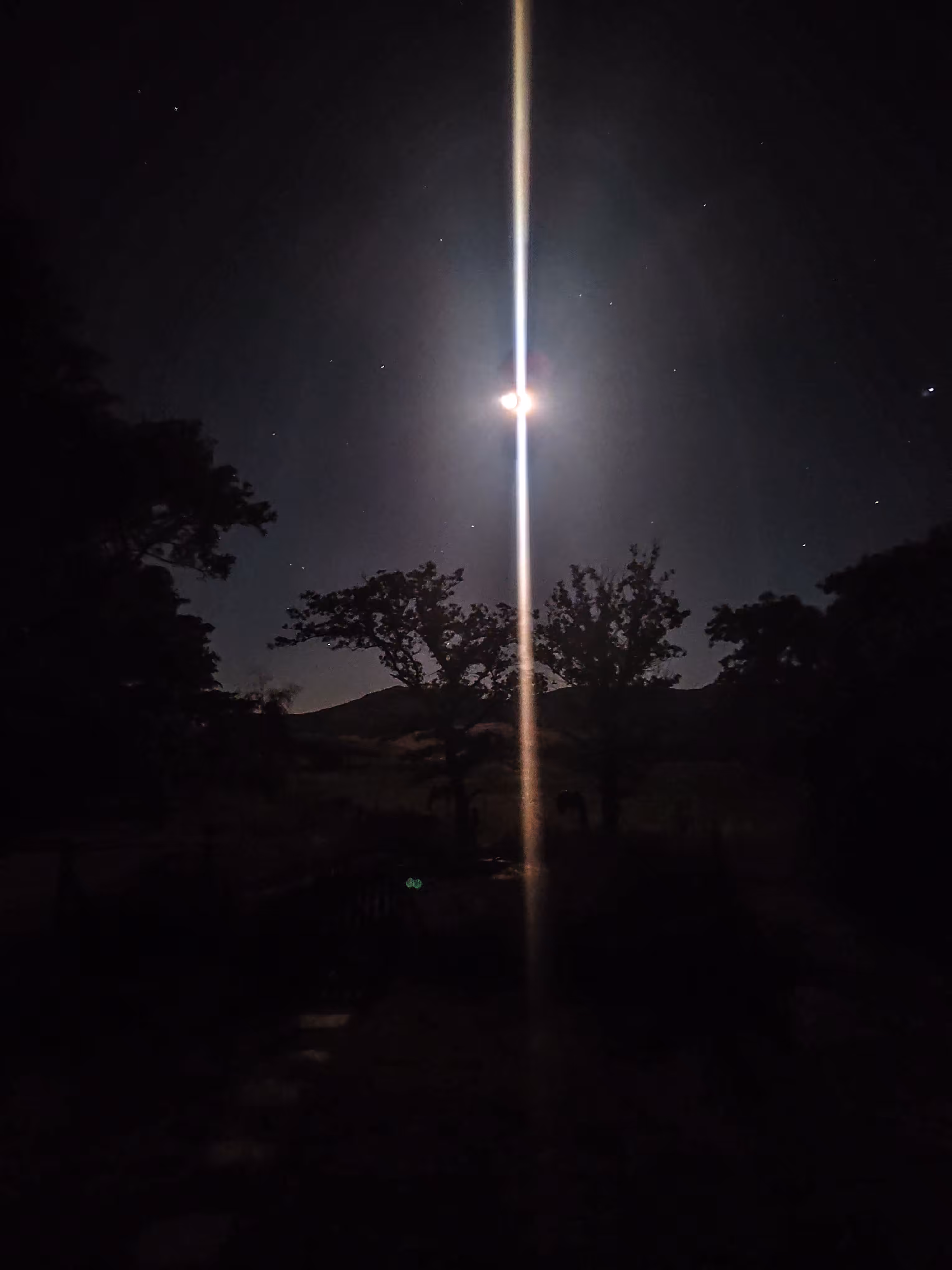 Luna del augurio