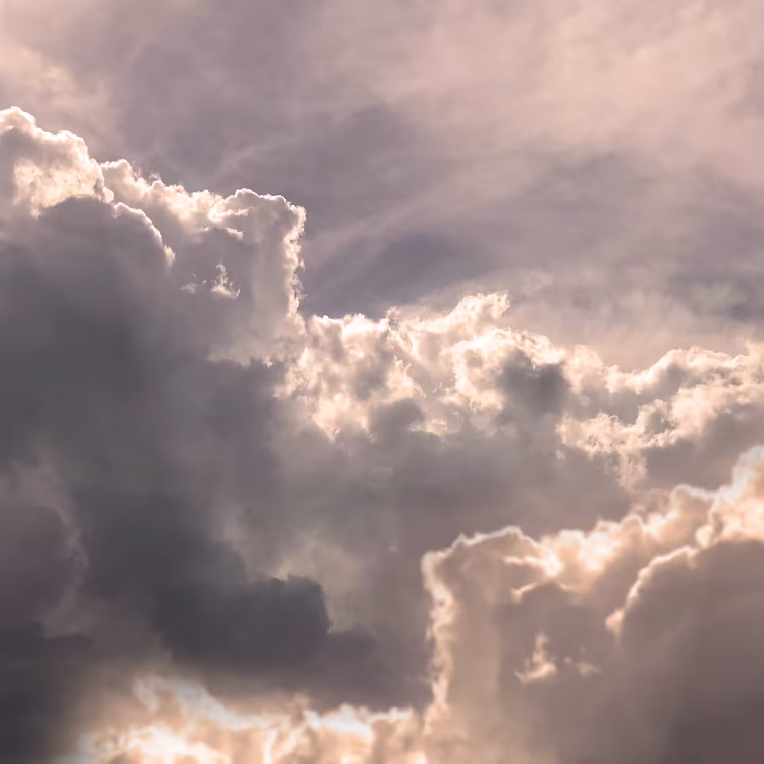 Arcus