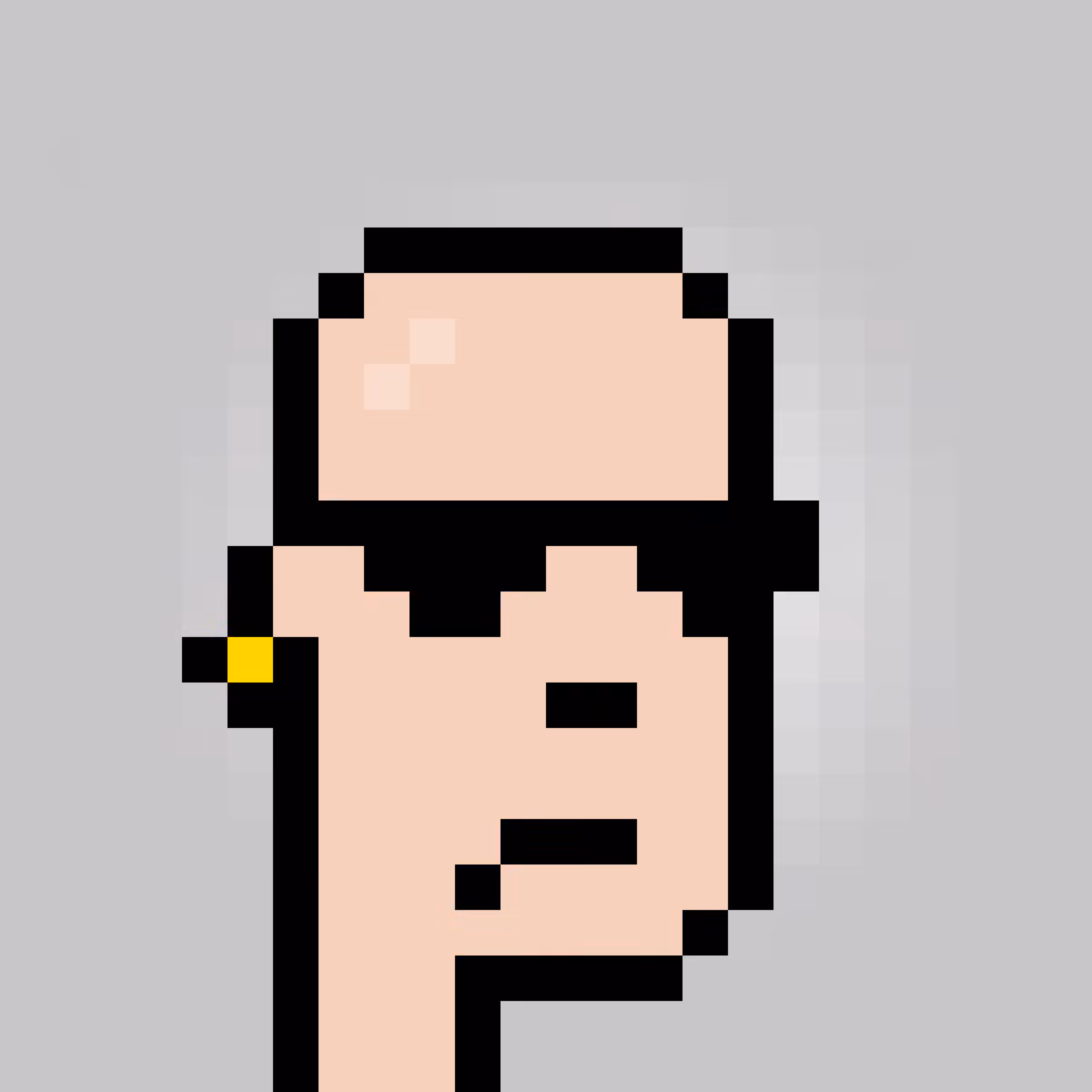 Unofficial Punks V2 #1208