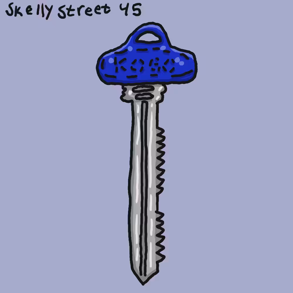 Skellystreet 45