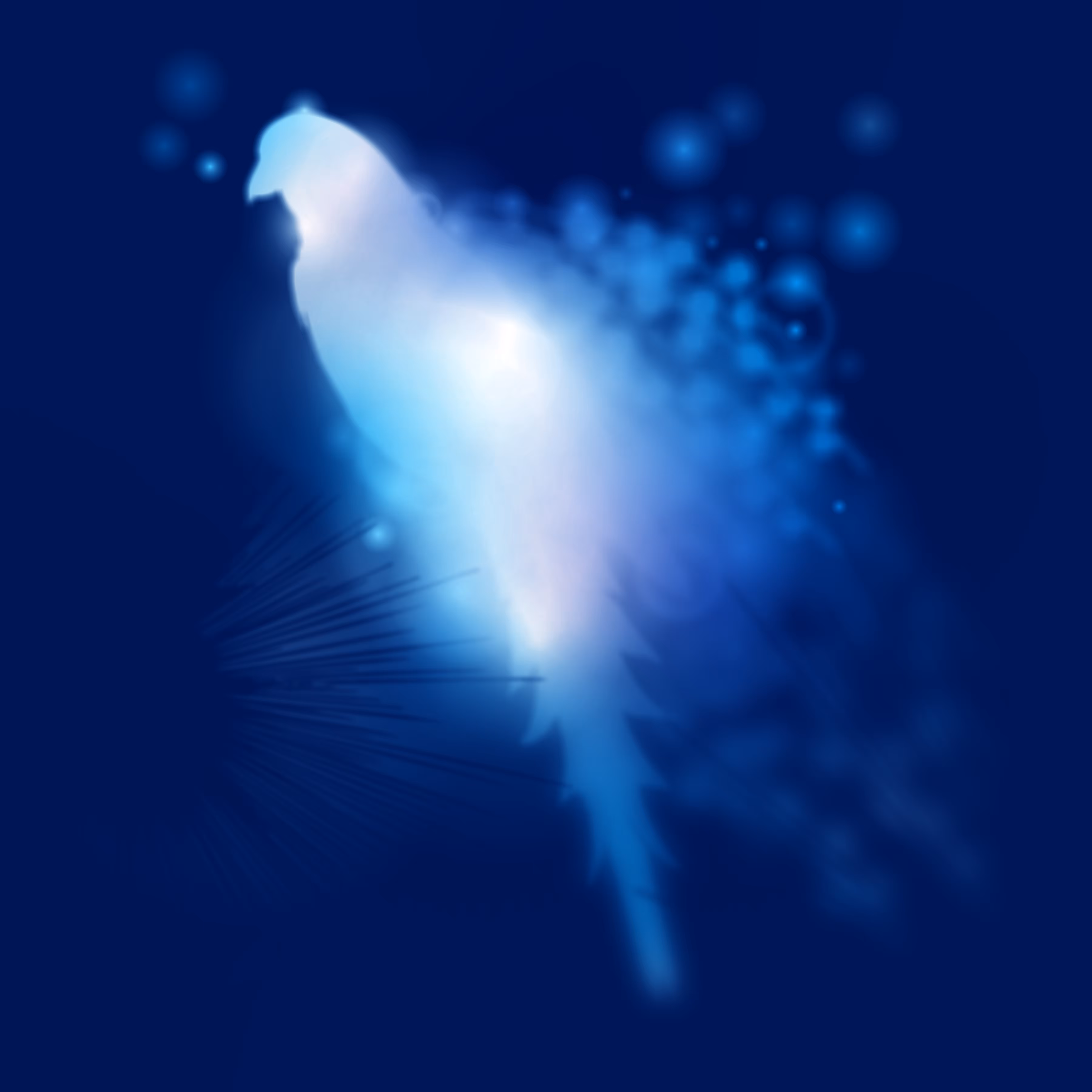 Quantum Animal QS010X0HY6B