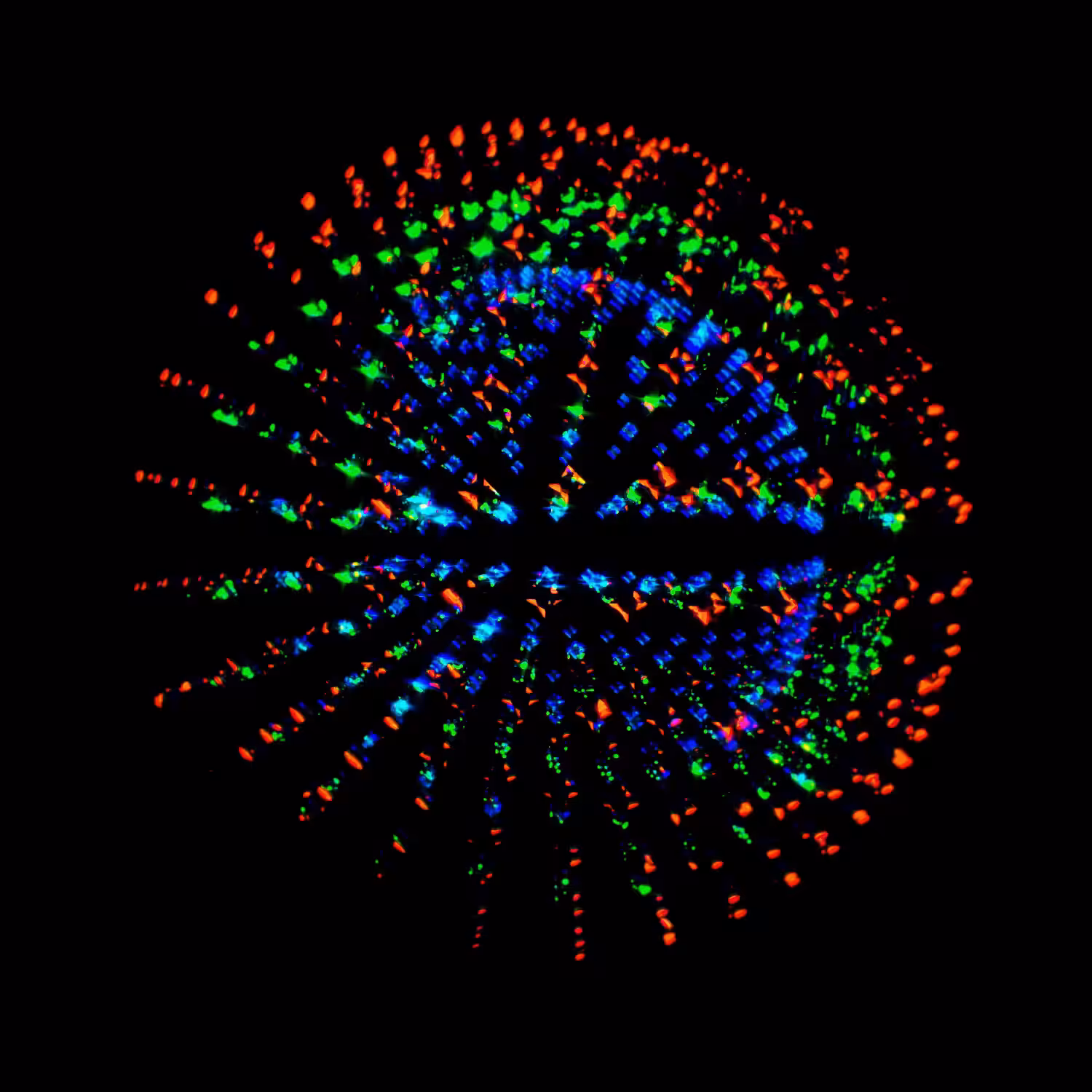 W0rldW1deWrainbow