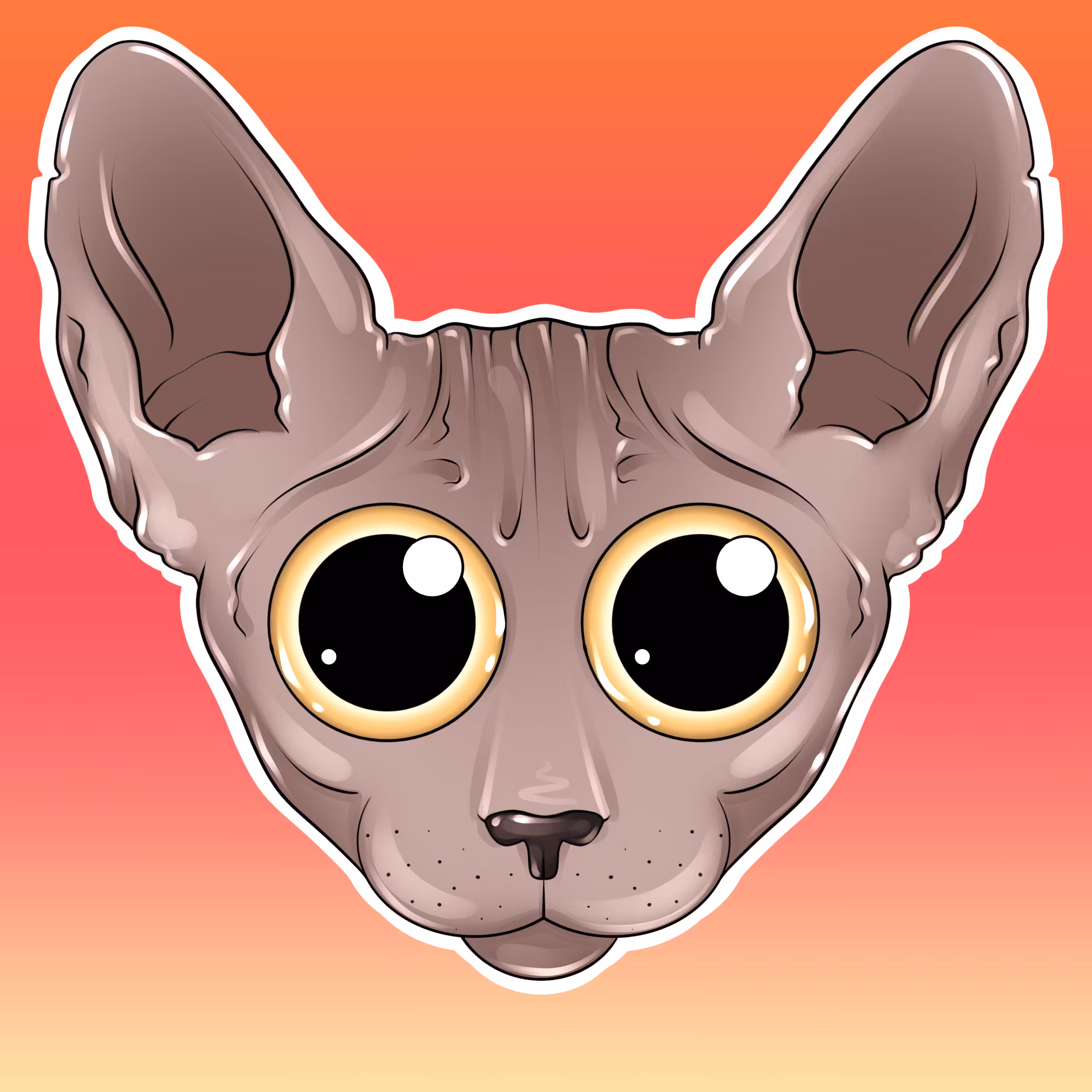 Mini cat #12