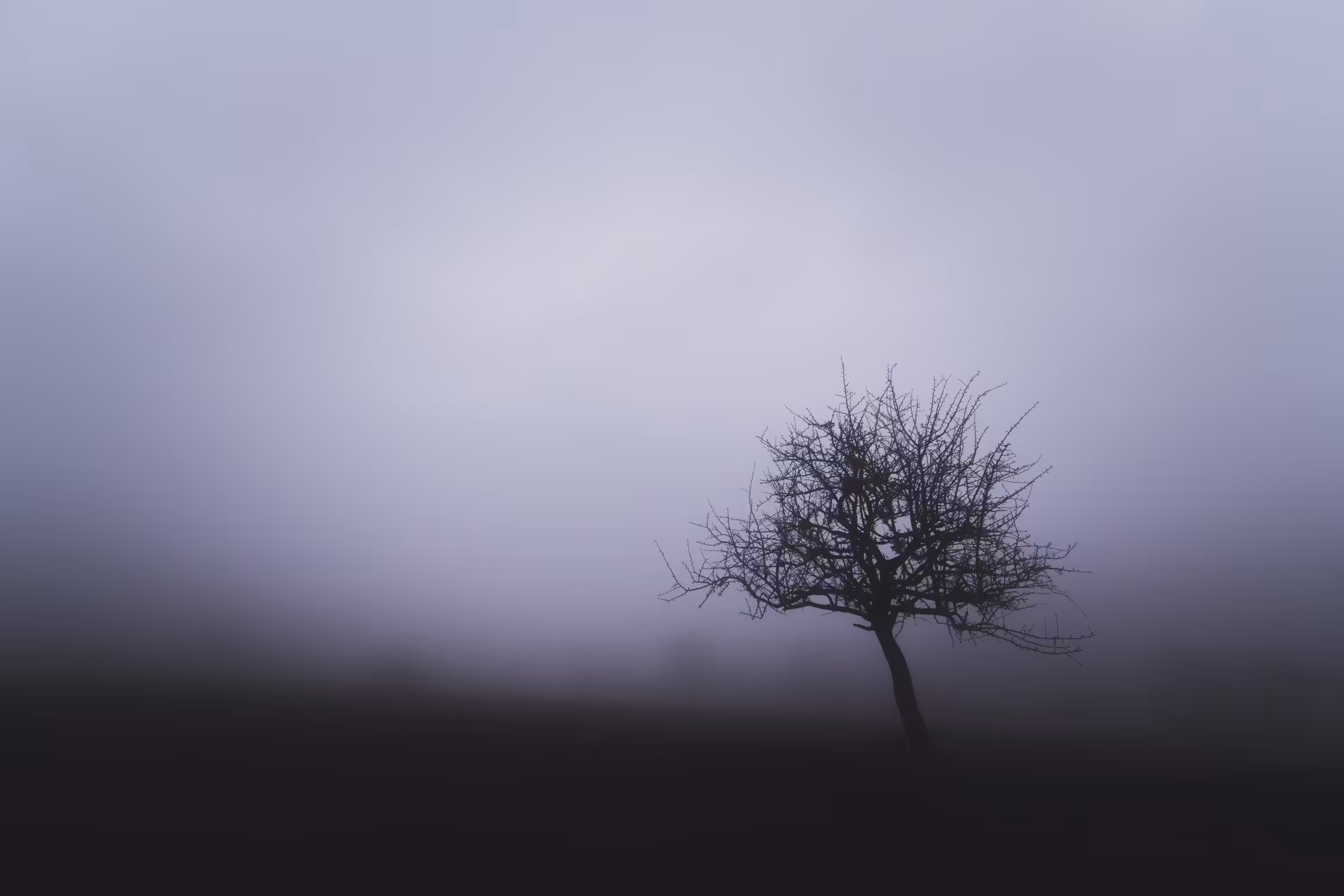 SILENCE