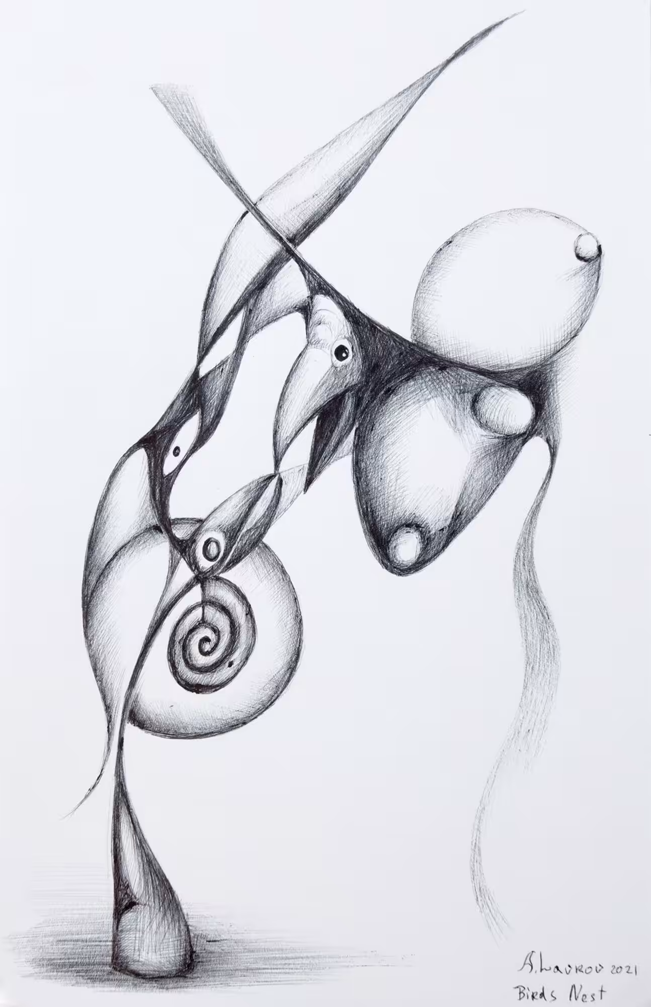 Birds Nest 65/65