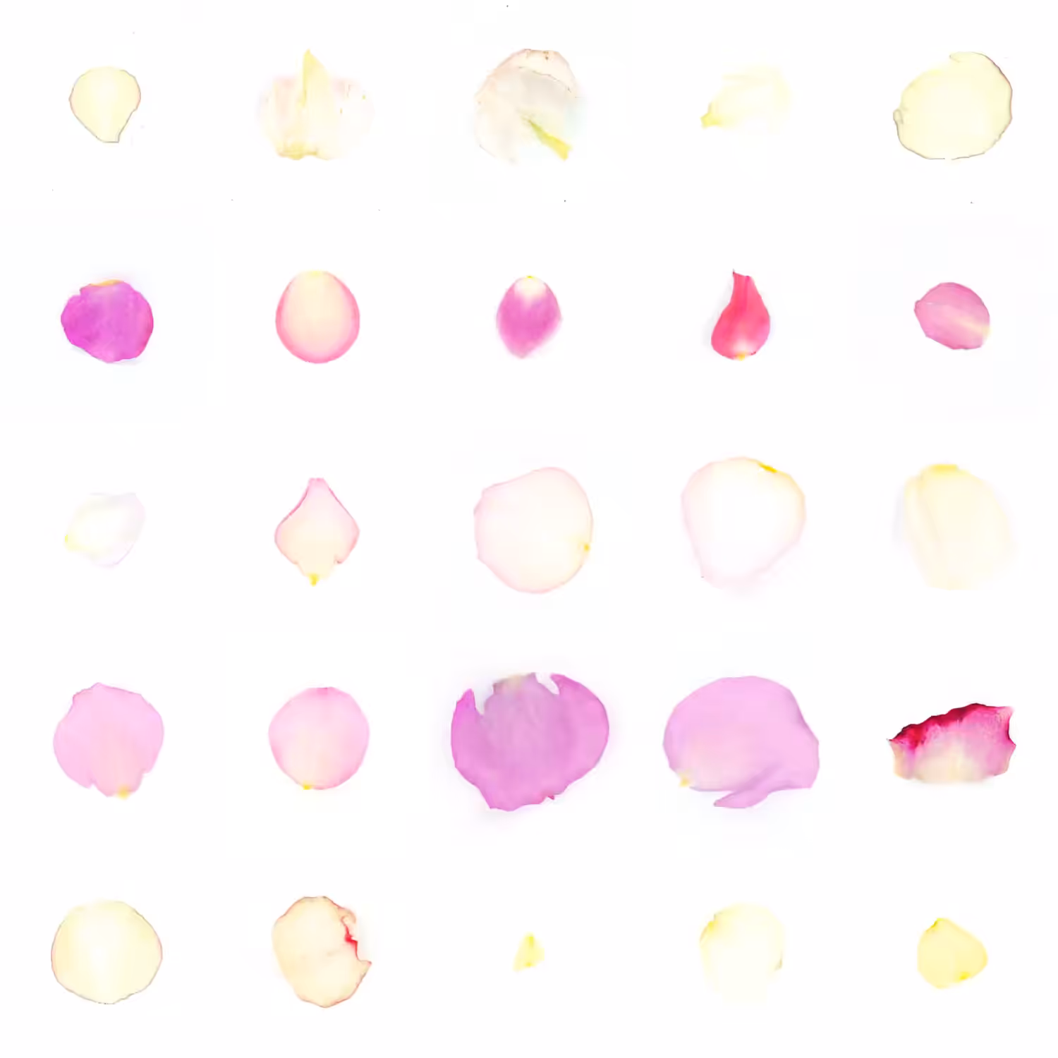 Infinite Petals 5x5#1636