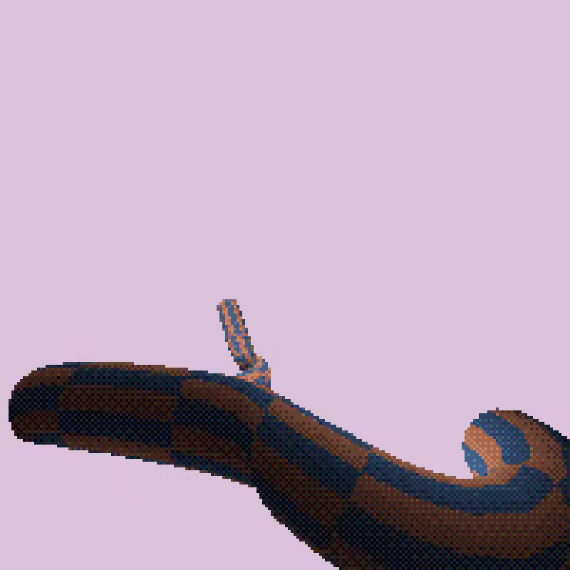 Sneks #16