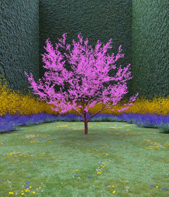 Garden of Imagination #28