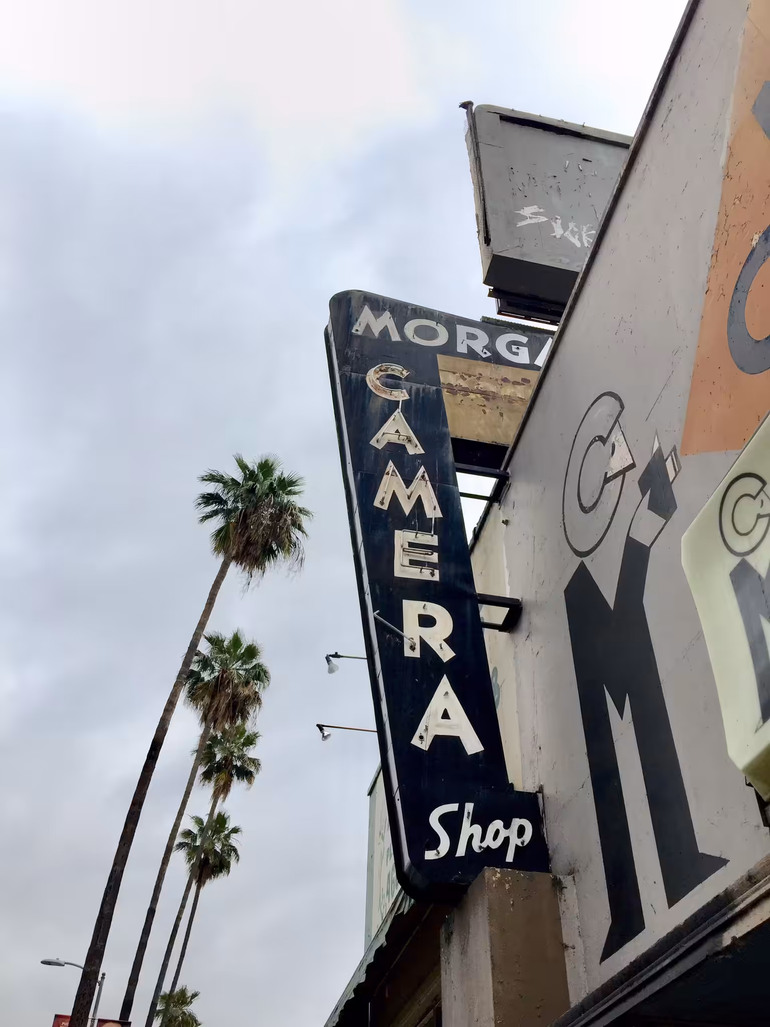 Signs / 001