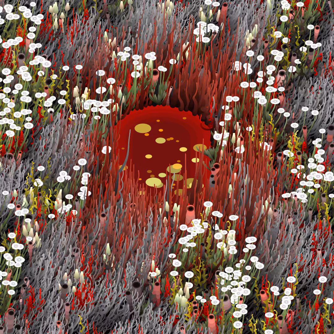 Noisy Gardens #162